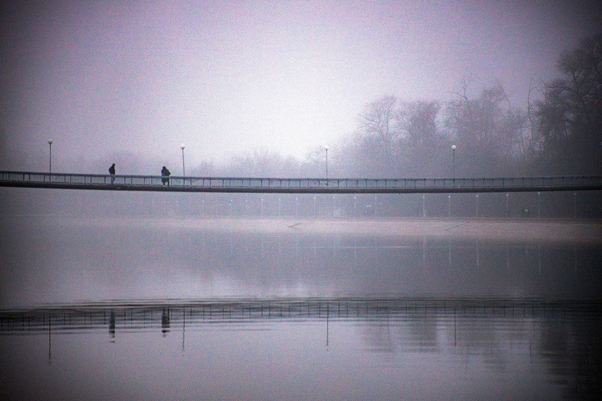 800kg 牛过700kg 桥？聪明过桥法！