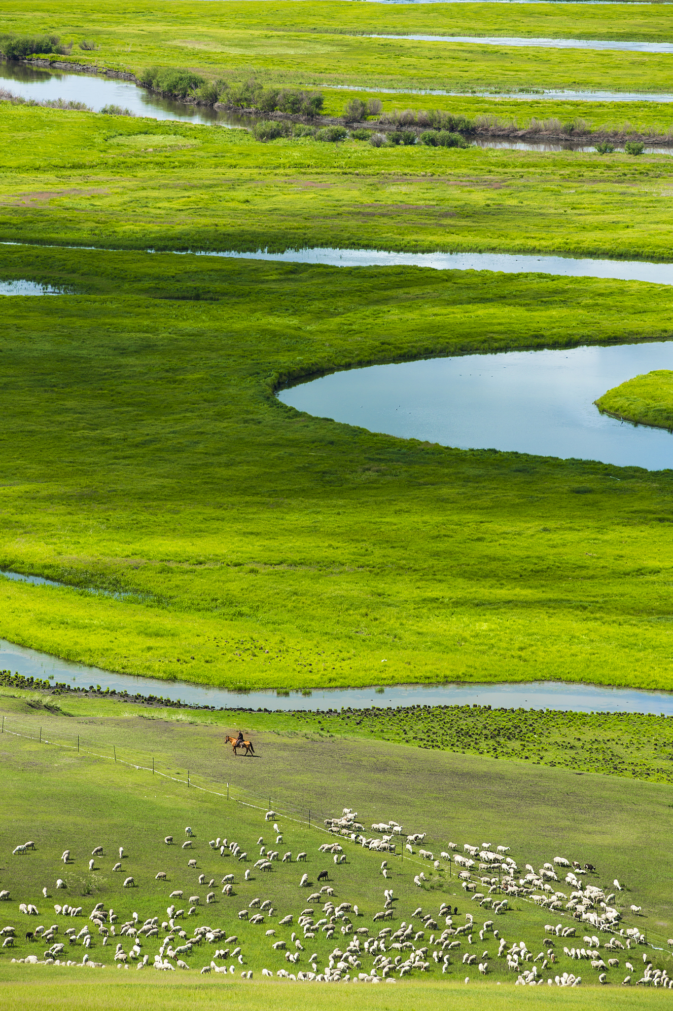 呼伦贝尔草原的有效土壤厚度