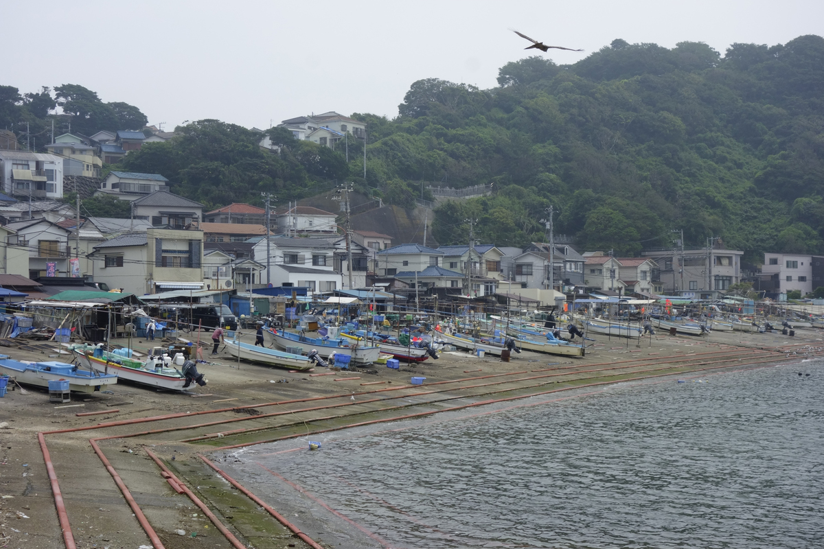 舟山秀山乡秀东舟山海洋有限公司位置帮我用230字详细描述