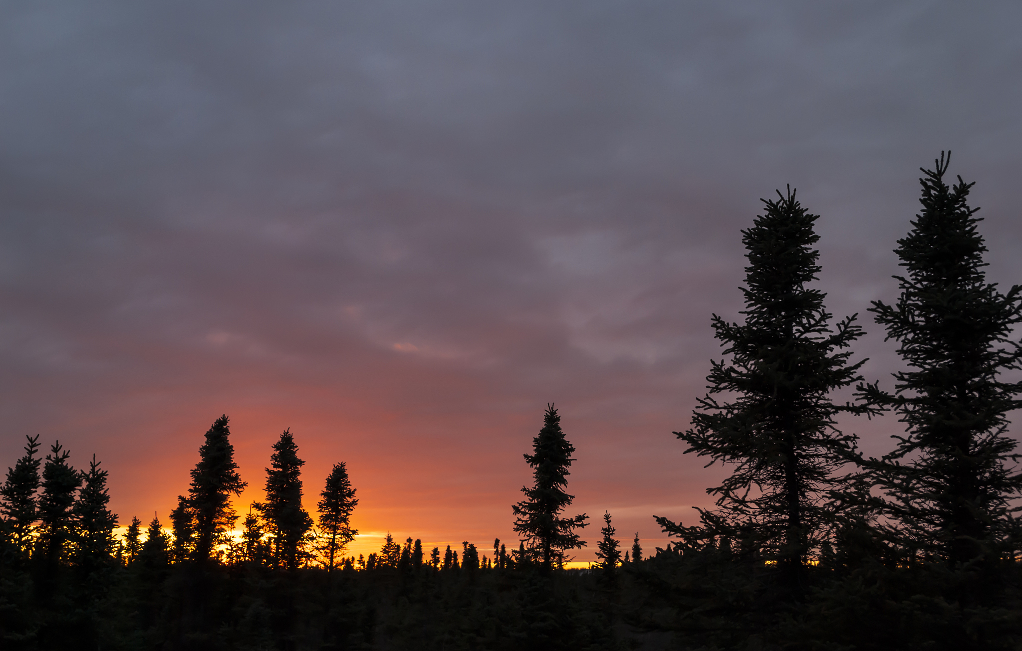 攀枝花机场气温变化规律 - 全年季节性特征