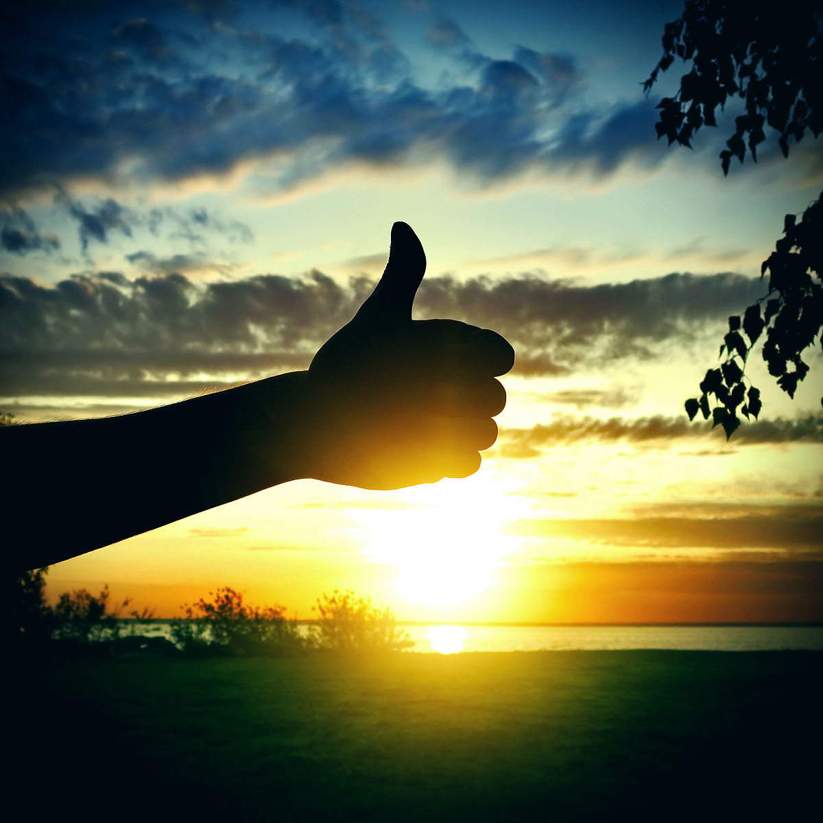 你很棒！充满才华和正能量的你，值得骄傲！