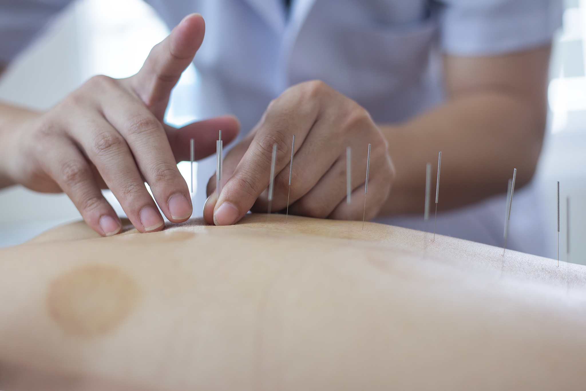 陕西省中医学专业大学排名：哪所学校最好？