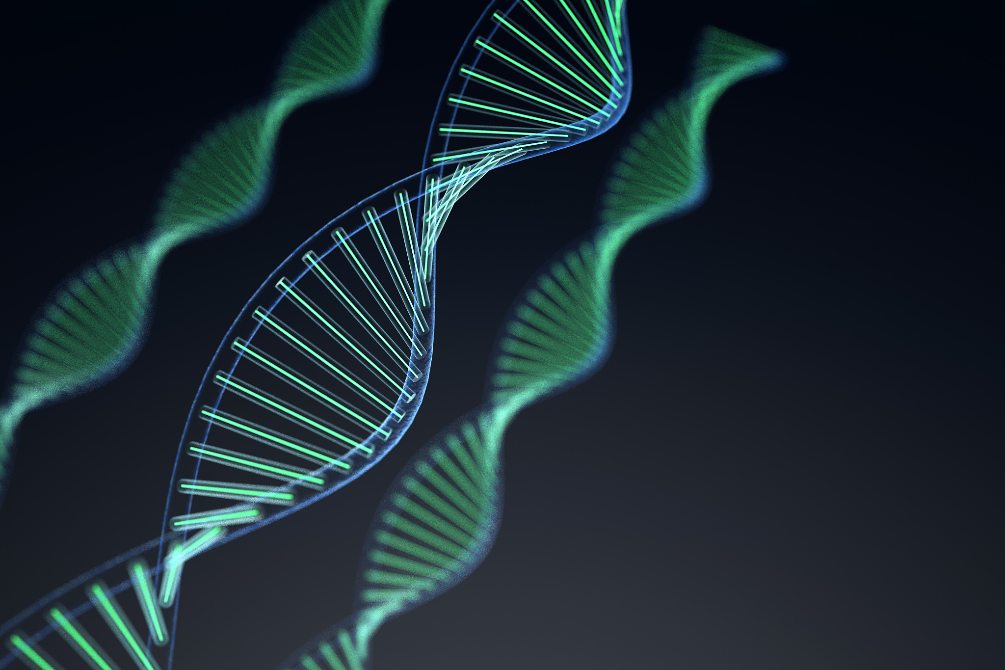 DNA复制过程中的关键蛋白与酶：功能解析