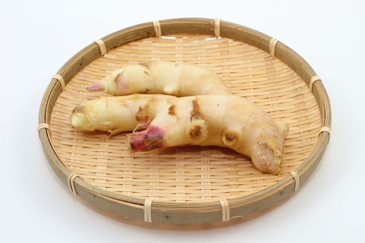 四川嫩姜腌制方法：简单步骤，美味秘诀