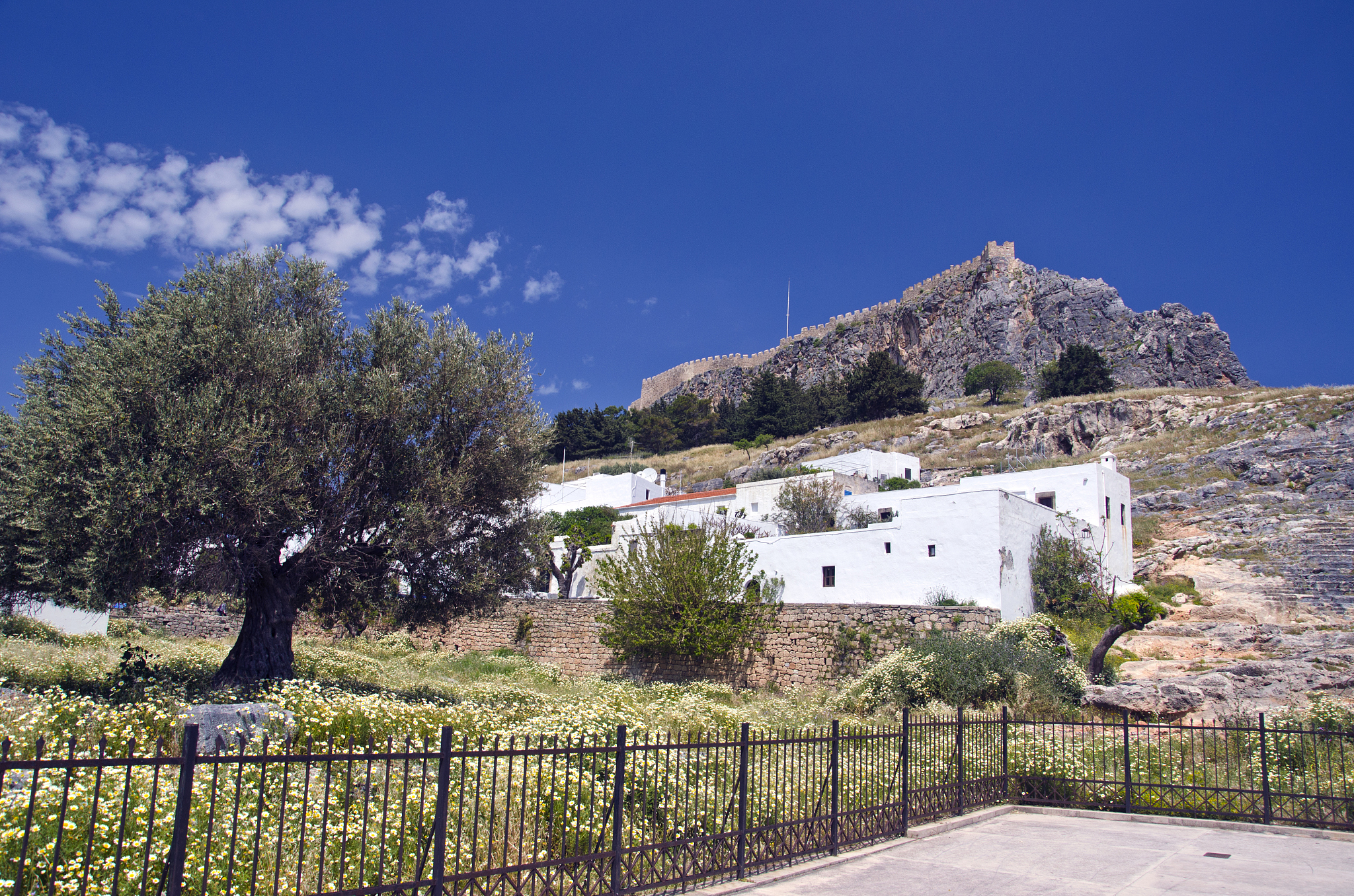 porque cachorro uiva