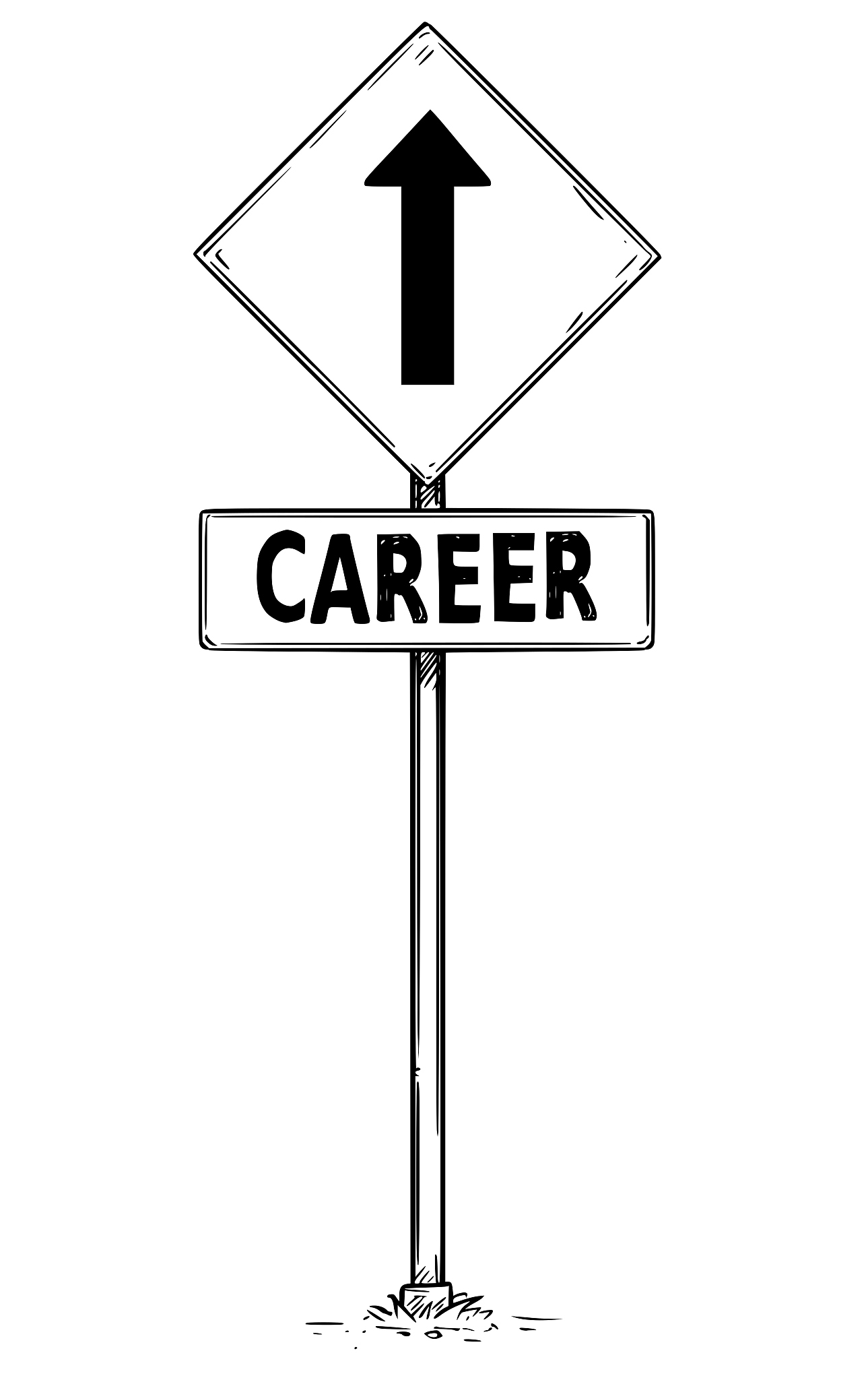 天津交通职业学院有药剂专业吗？