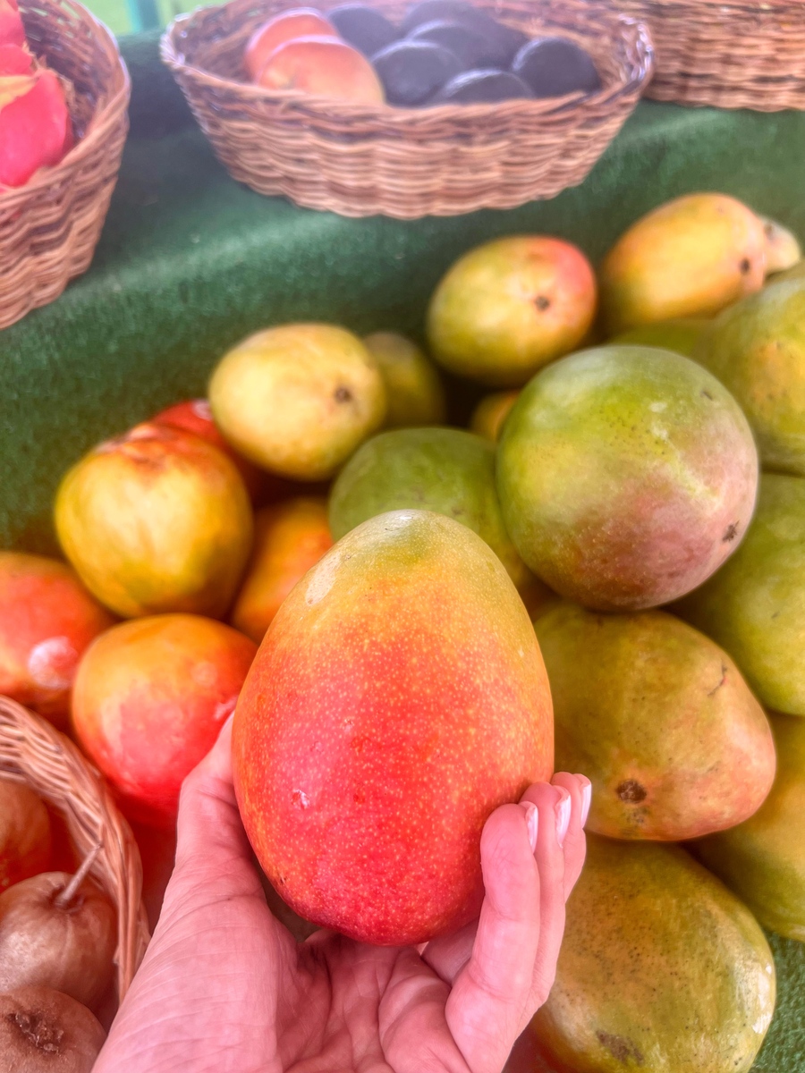 考试送什么水果寓意好？谐音告诉你！