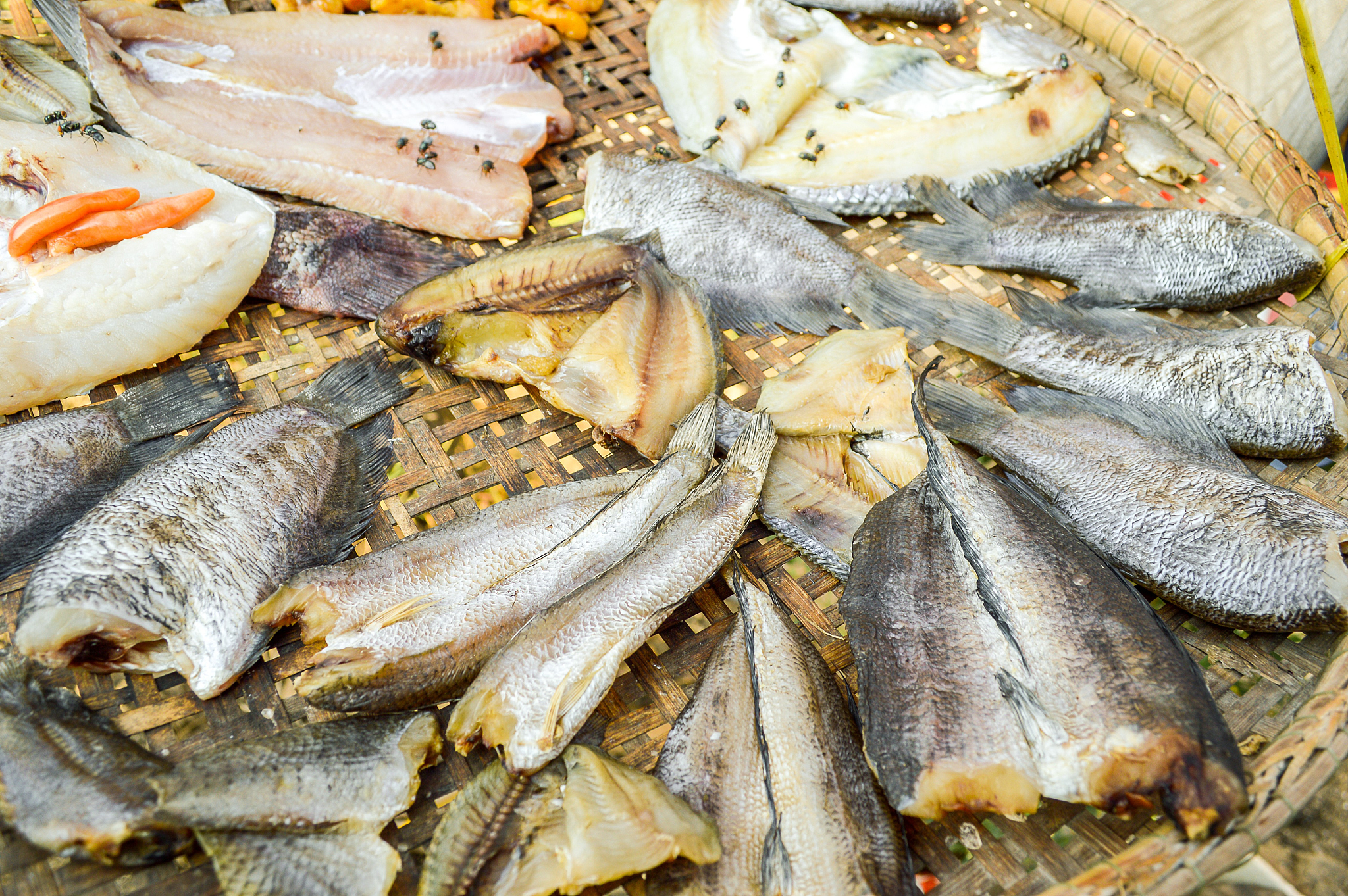 鱼肉制品：美味营养的健康选择