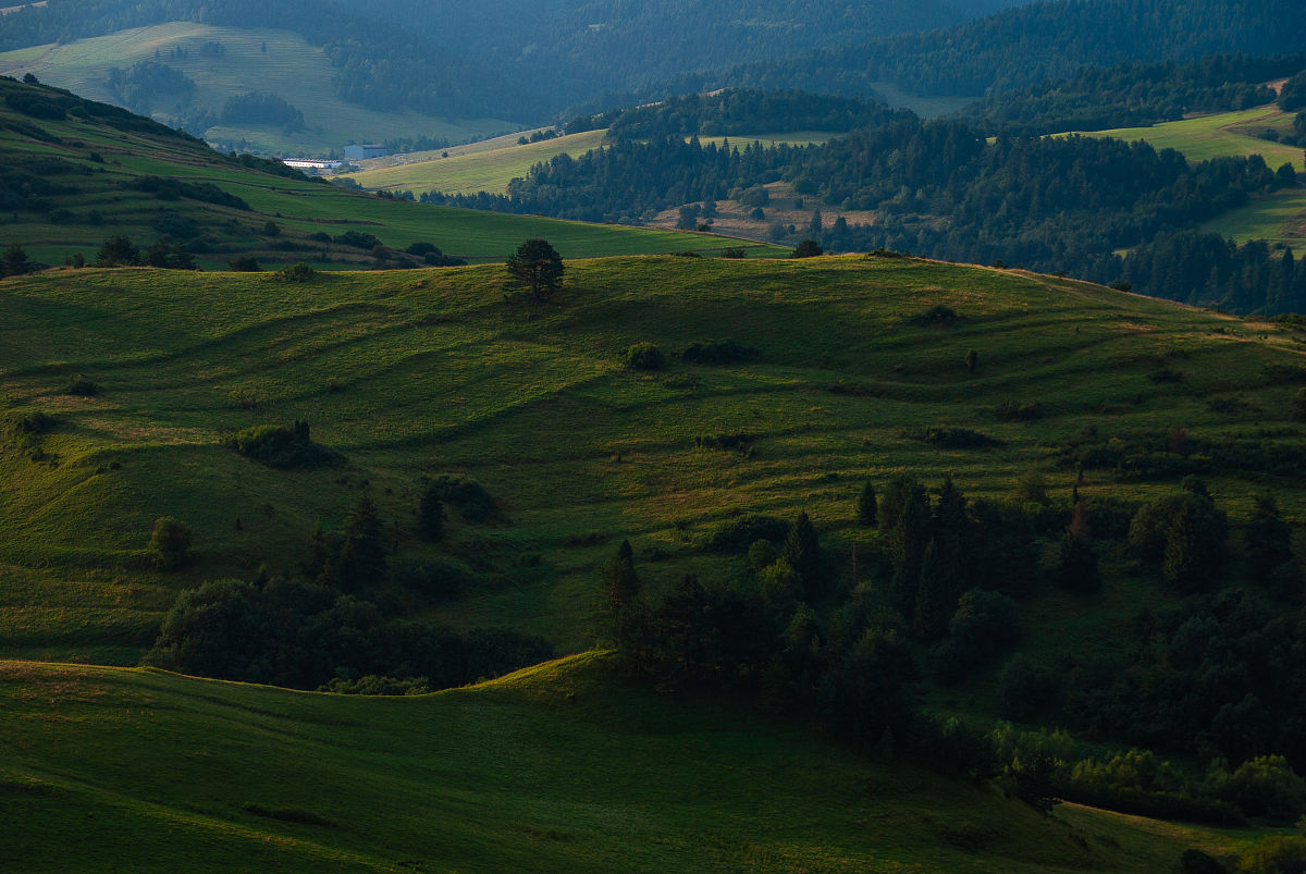 绿色丘陵,pieniny,波兰