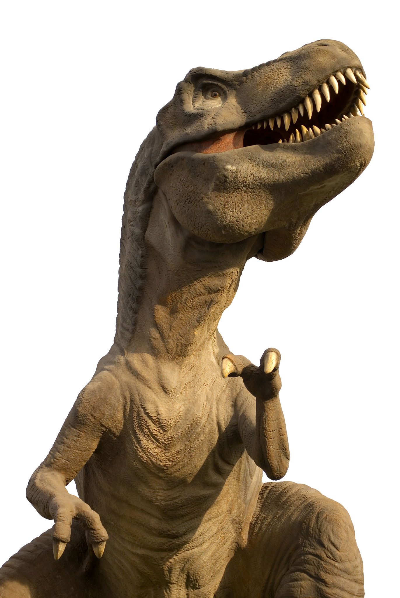 tyrannosaurus rex