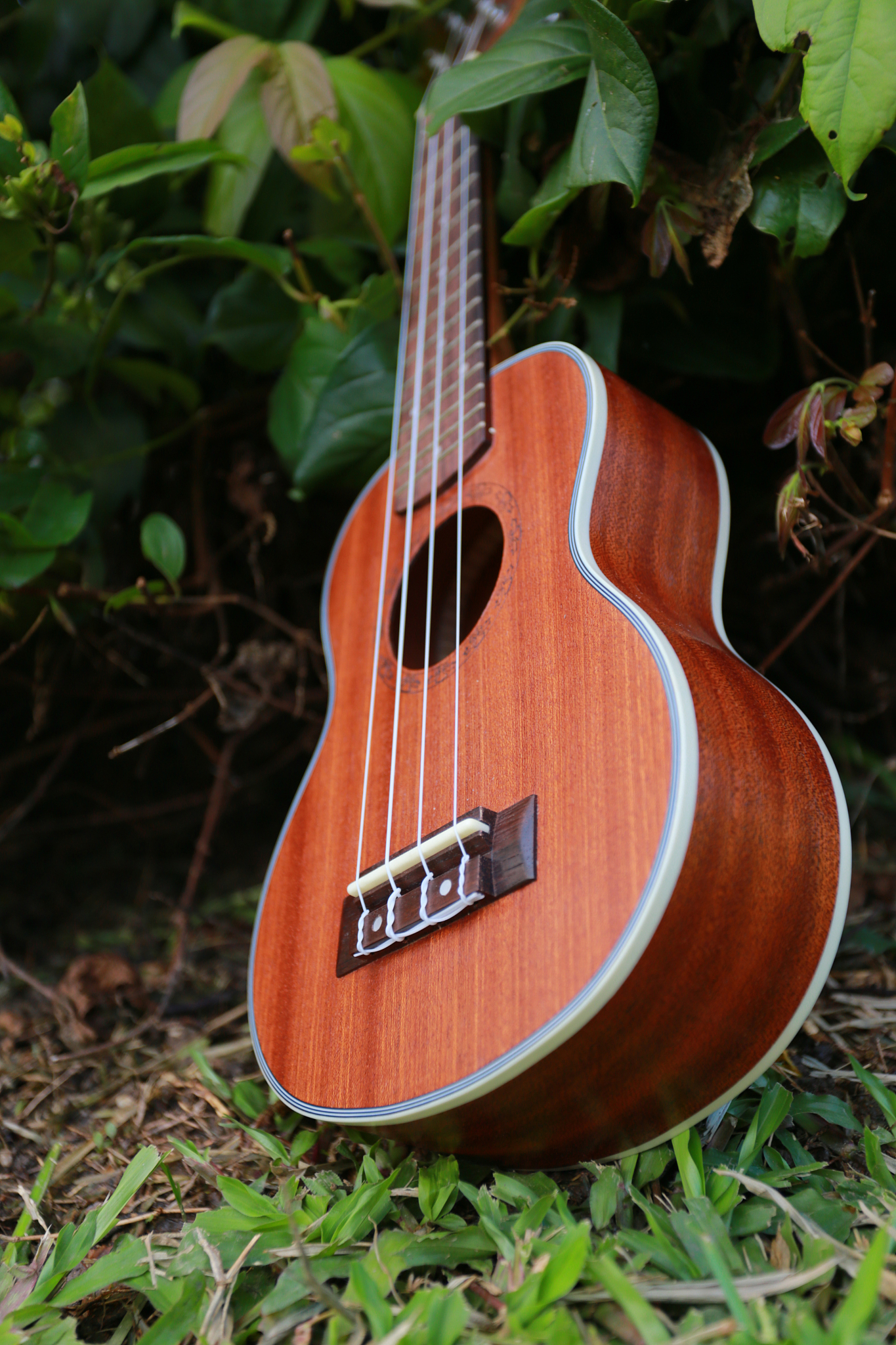 西安外事学院的音乐表演专业行业前景