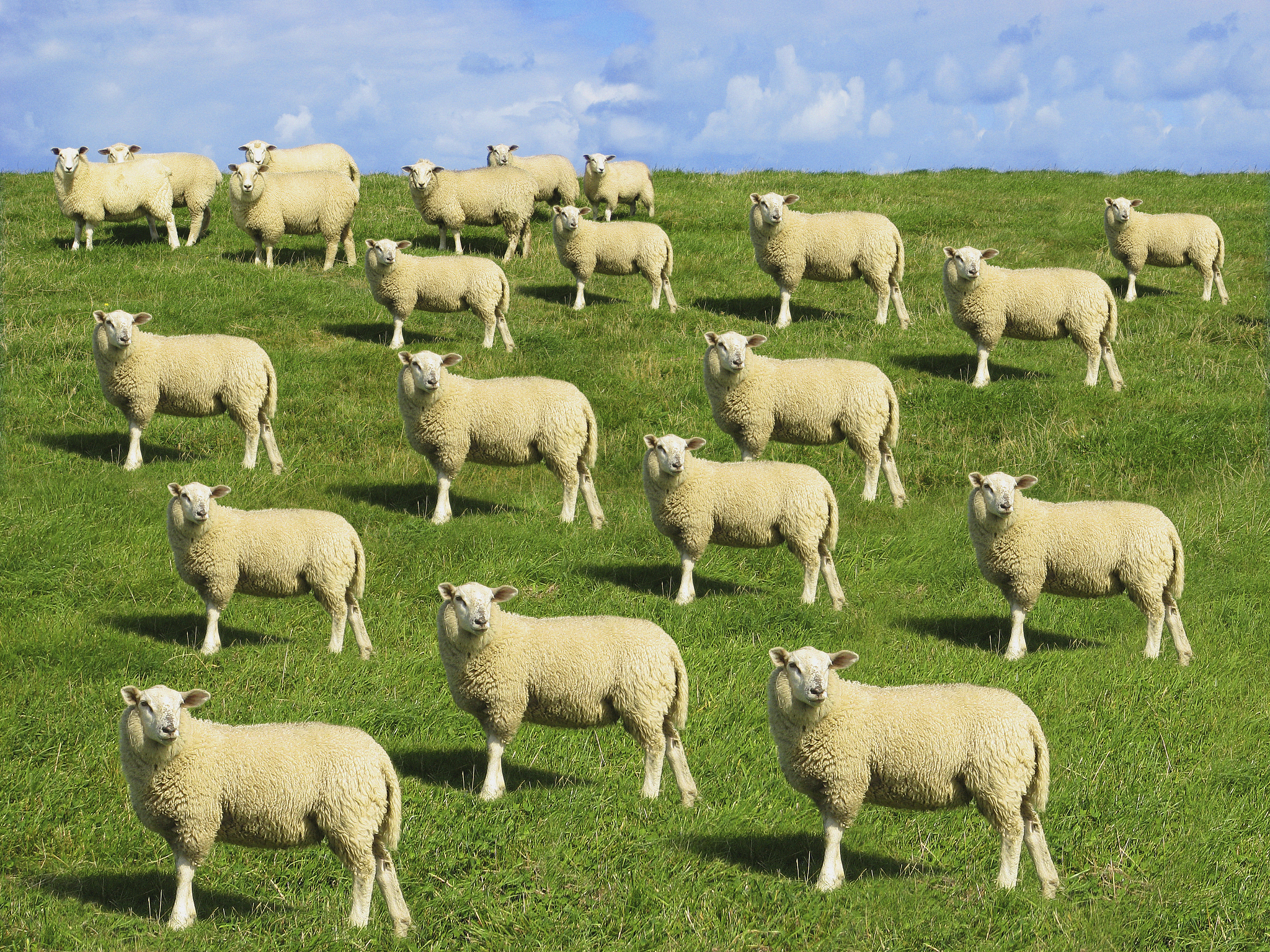 石家庄同济医学中等专业学校设施设备