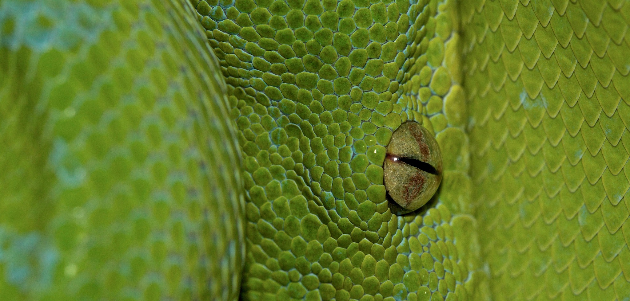 98如果name = 全国计算机等级考试二级Python以下选项中输出错误的是Aprintname 全国计算机等级考试二级PythonBprintname11PythonCprintname11全国计算机等级考试二级Dprintname0 name8 name–1 全 试带上解析