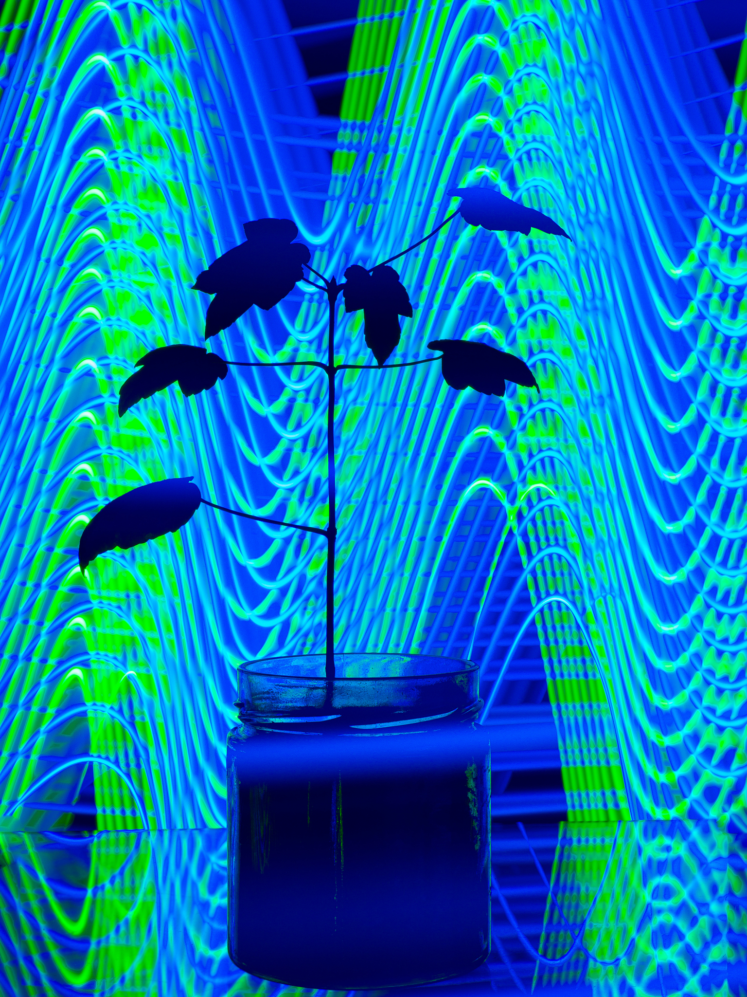 论文研究方法模板：详细步骤和示例