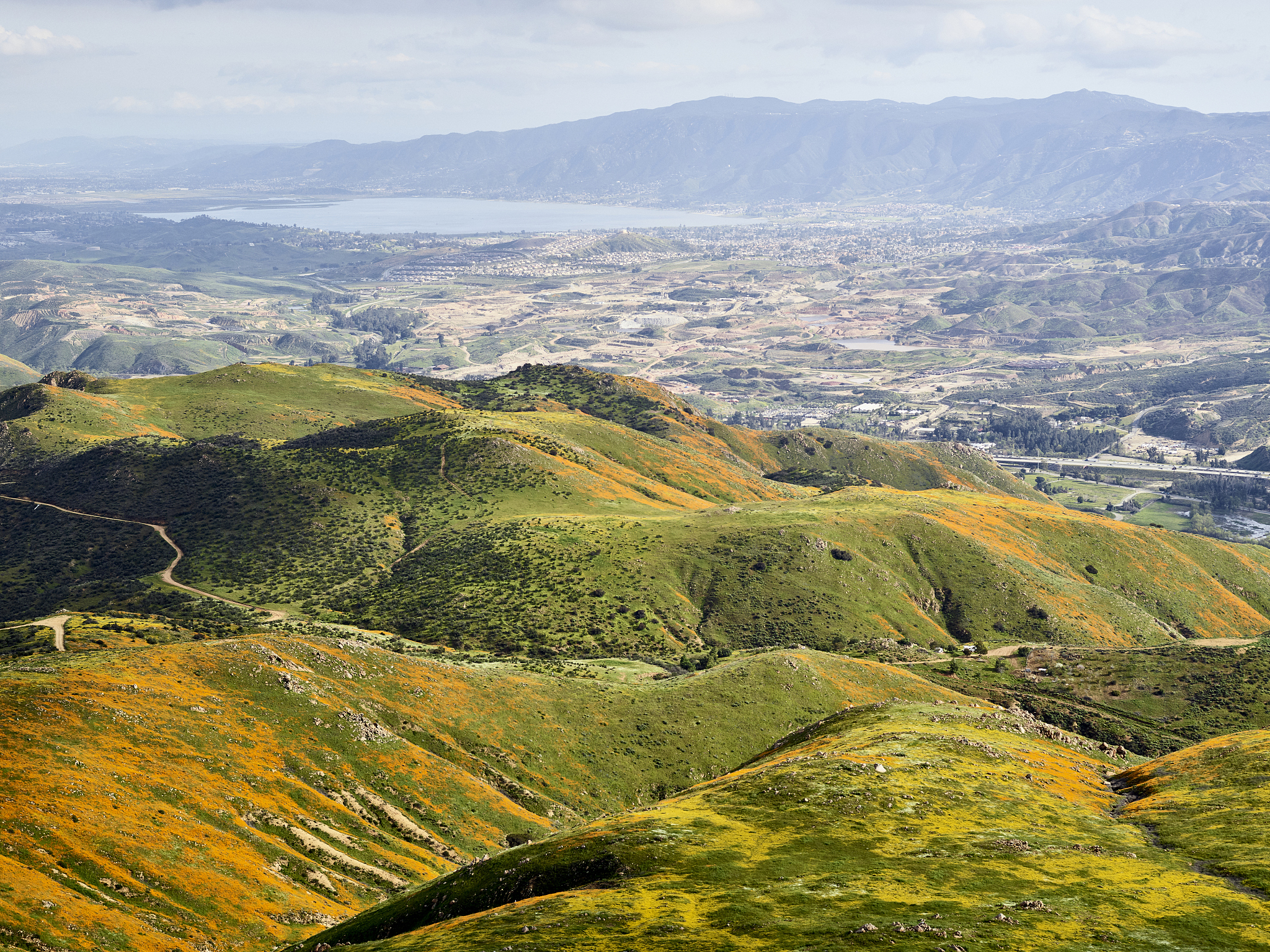 superbloom over the valley