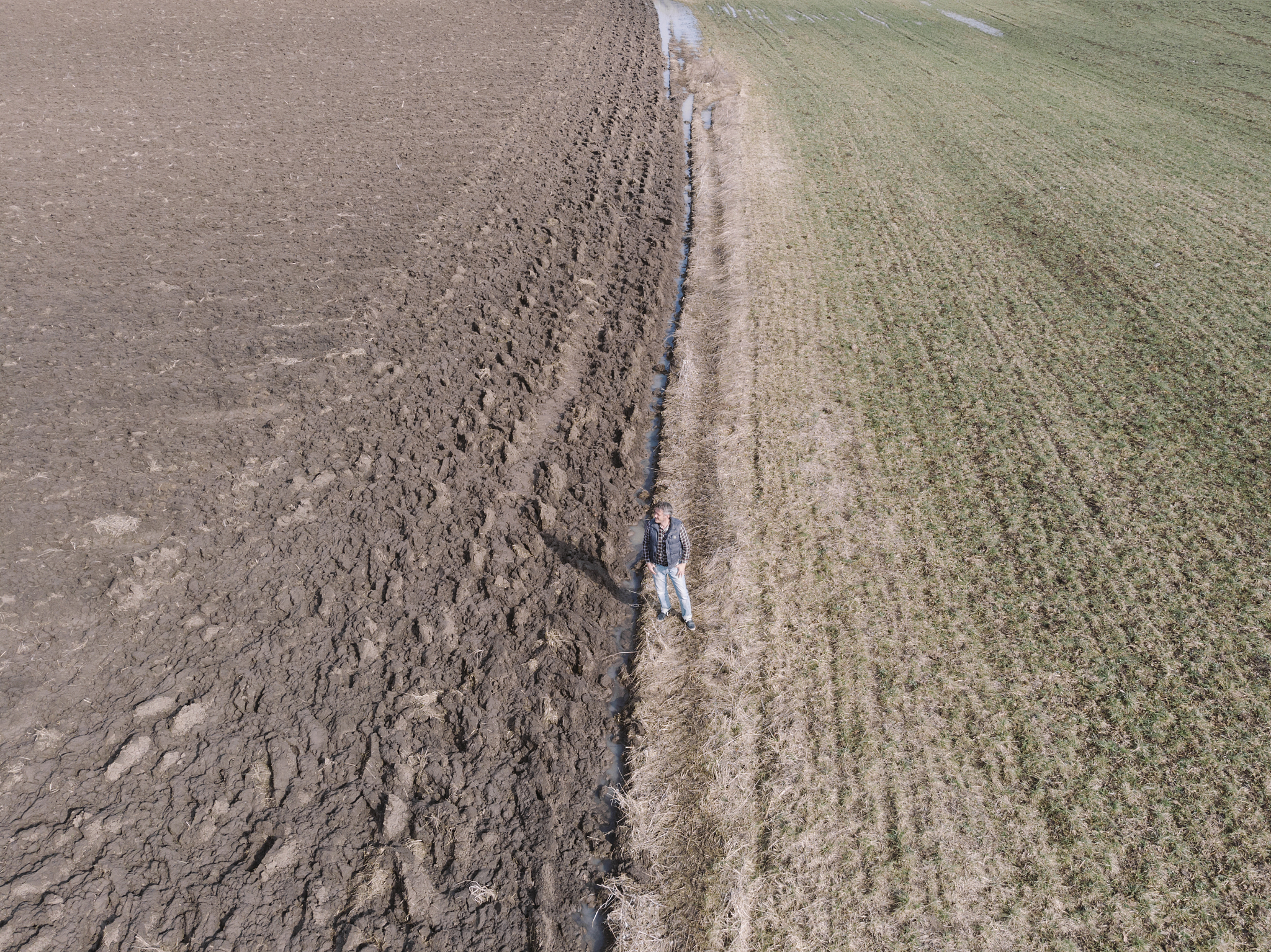 水资源枯竭与气候变化背景下的冬小麦节水种植