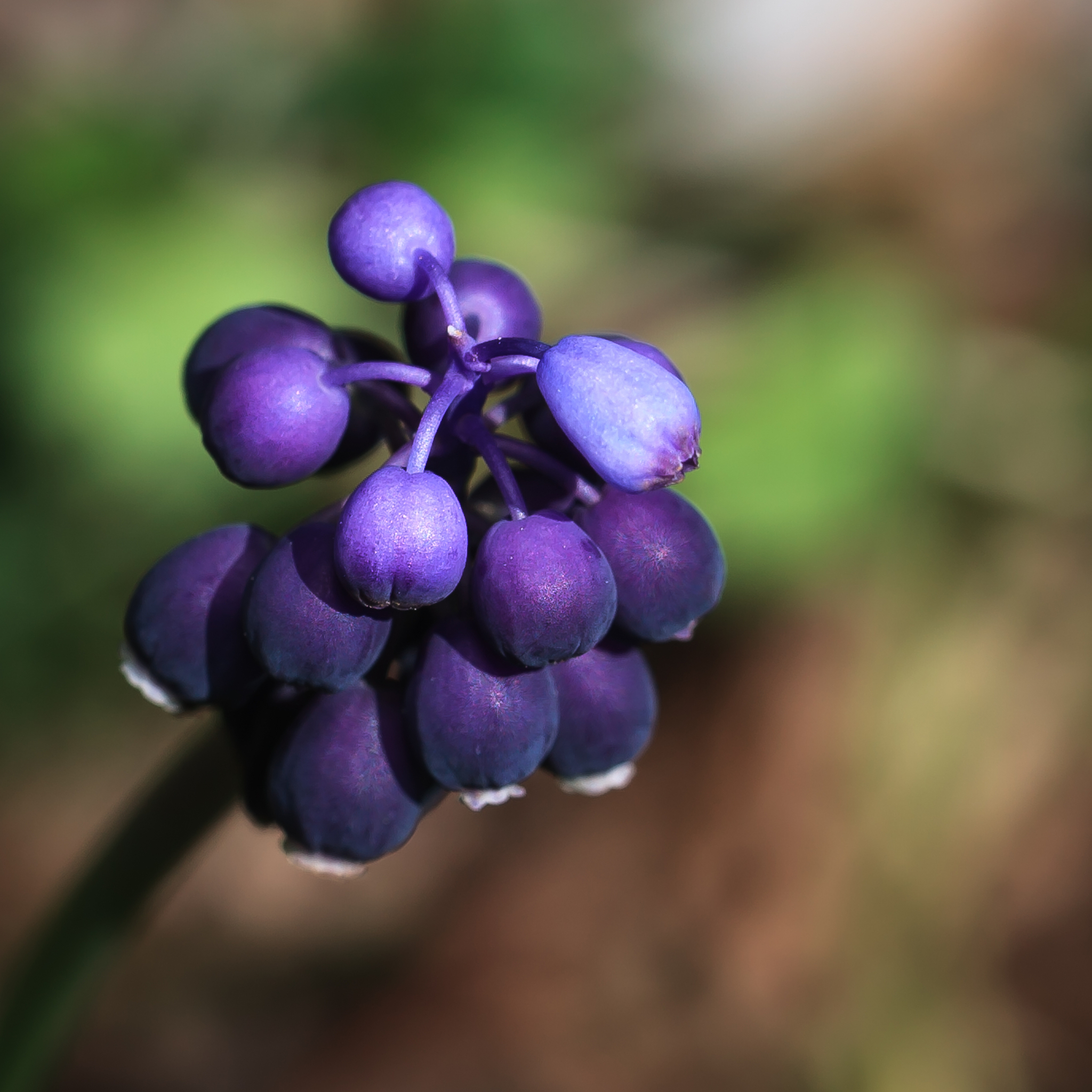 中国神话市场现状分析：为什么希腊神话、中国神话在国内不火？