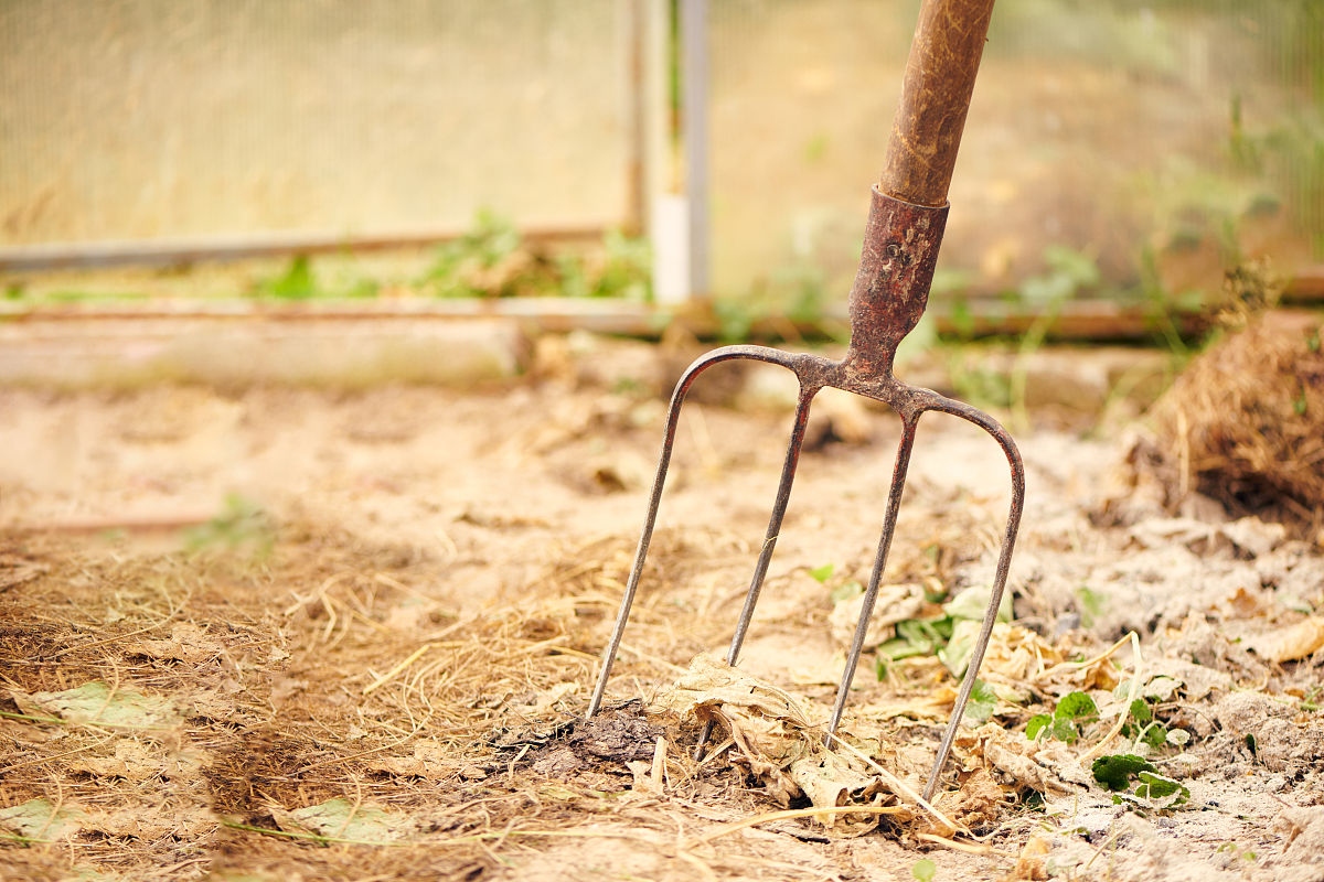 2019年毕业读农村医学专业好吗？就业前景分析