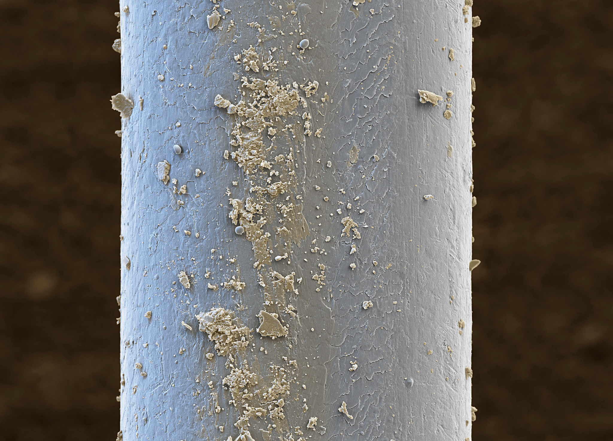 hair of a musical bow, sem