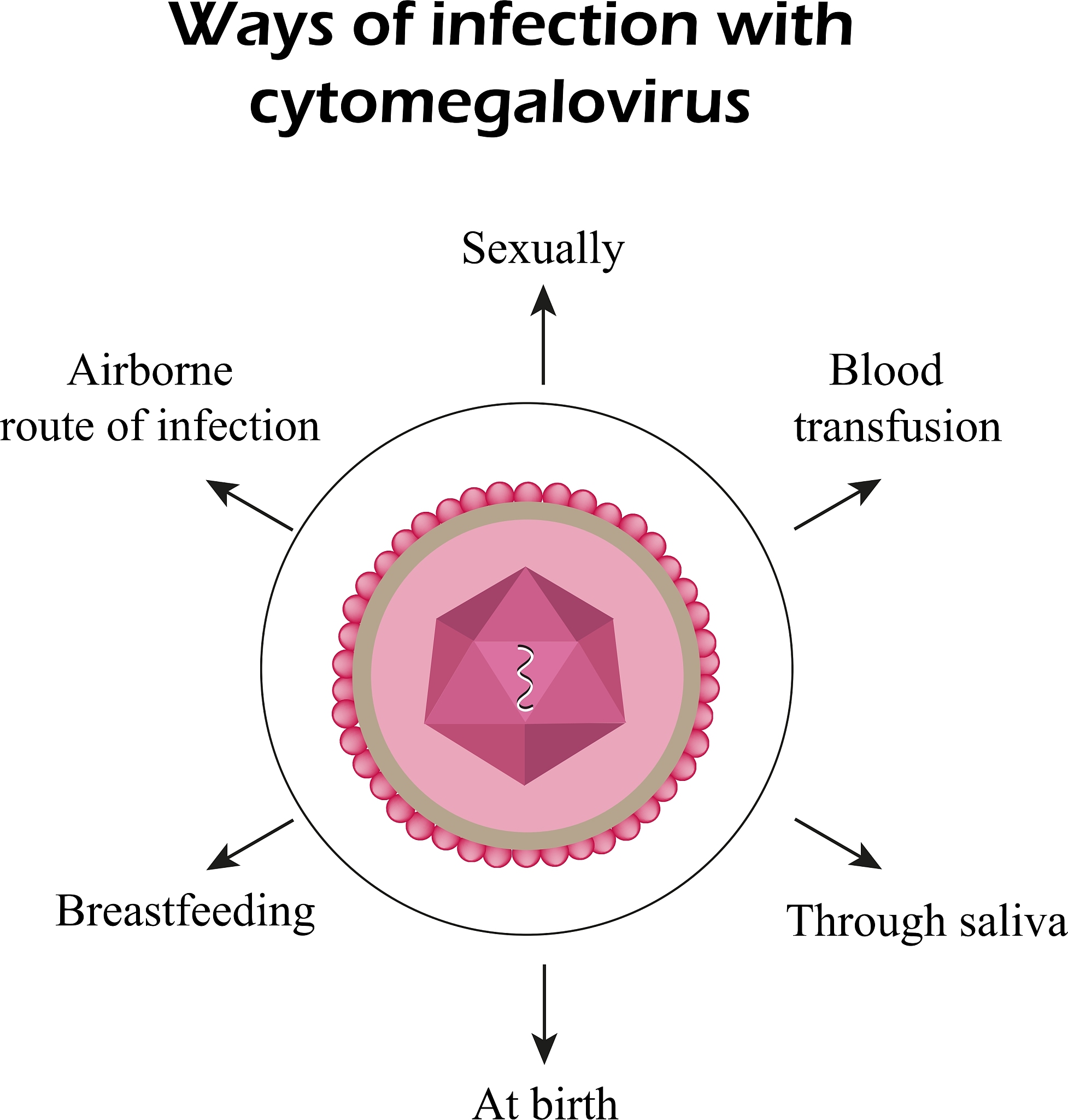 The Enigma Protector - Is it a Virus? | Software Protection Explained