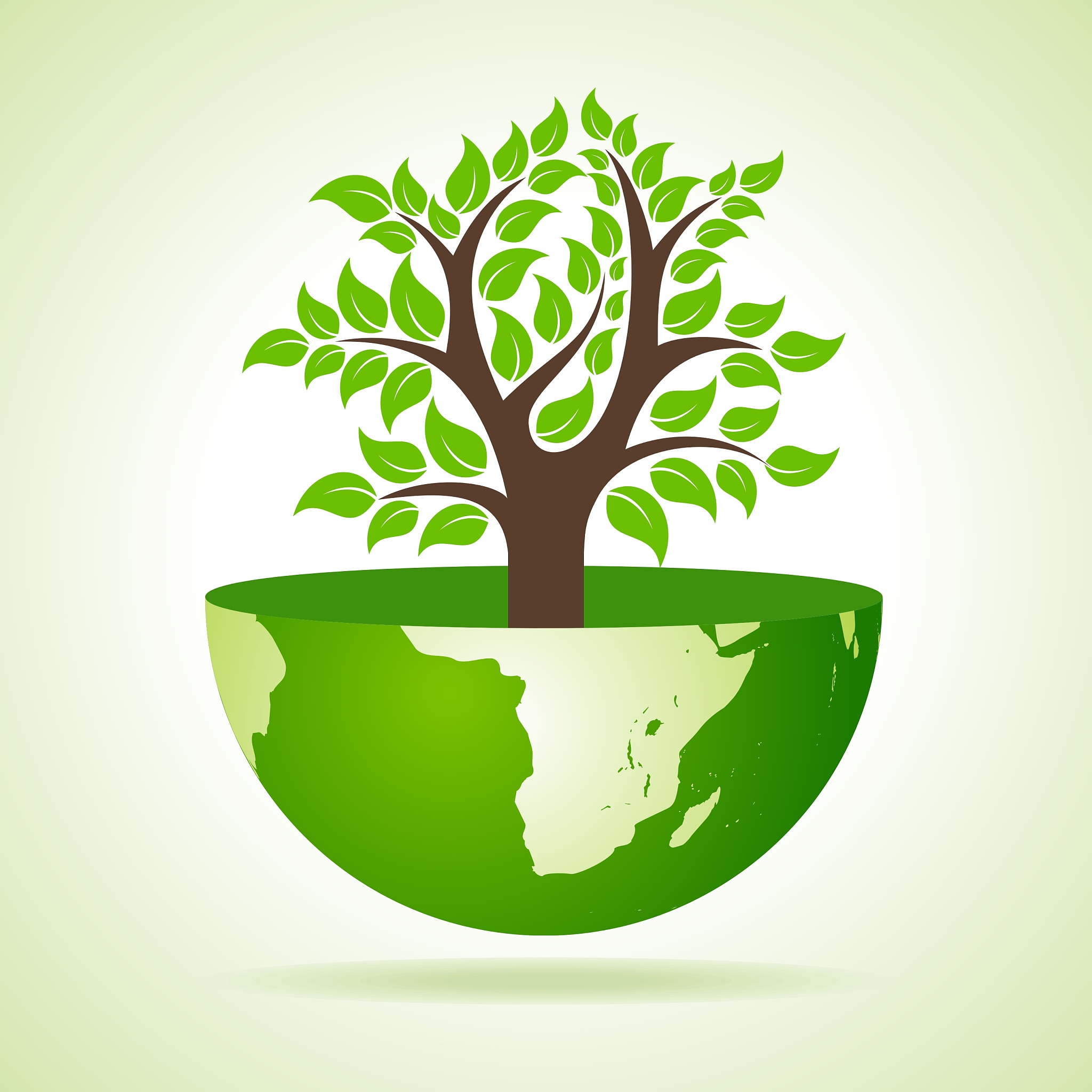 tree inside the earth