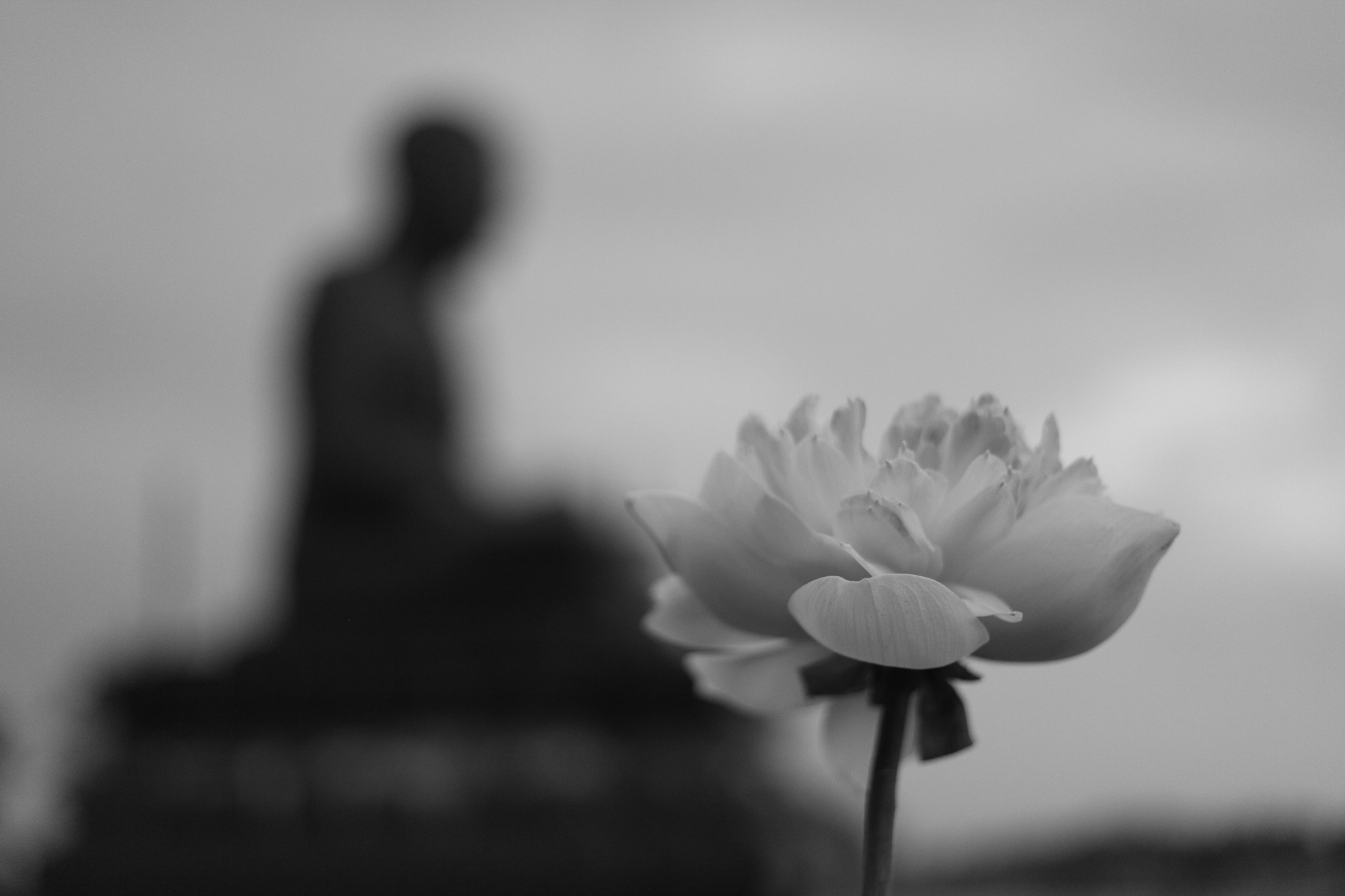 命运的齿轮：从弘一法师到心理学，探寻悲惨命运背后的真相