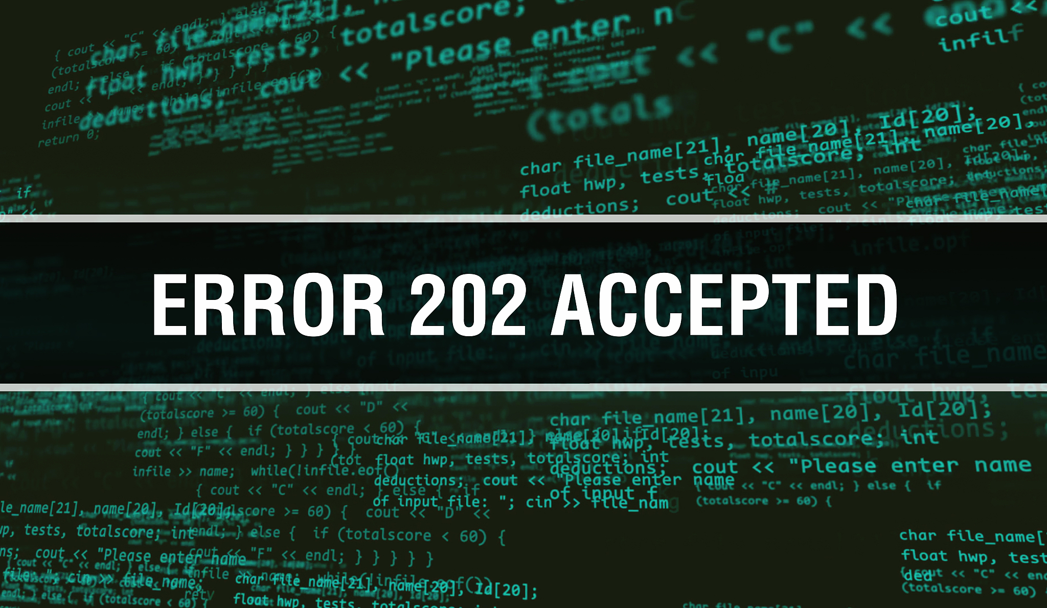 error 202accepted concept with random parts of program code. err