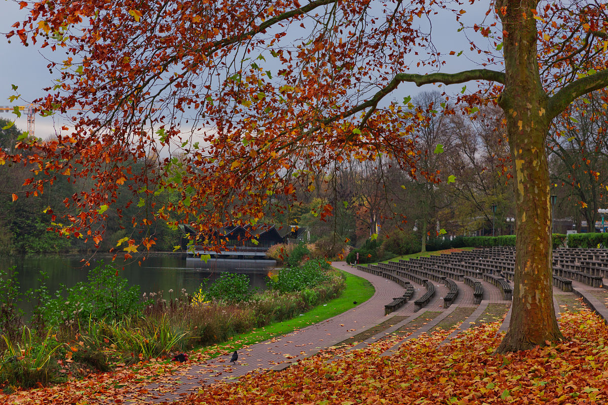 广州的秋天：寻找秋天的蛛丝马迹