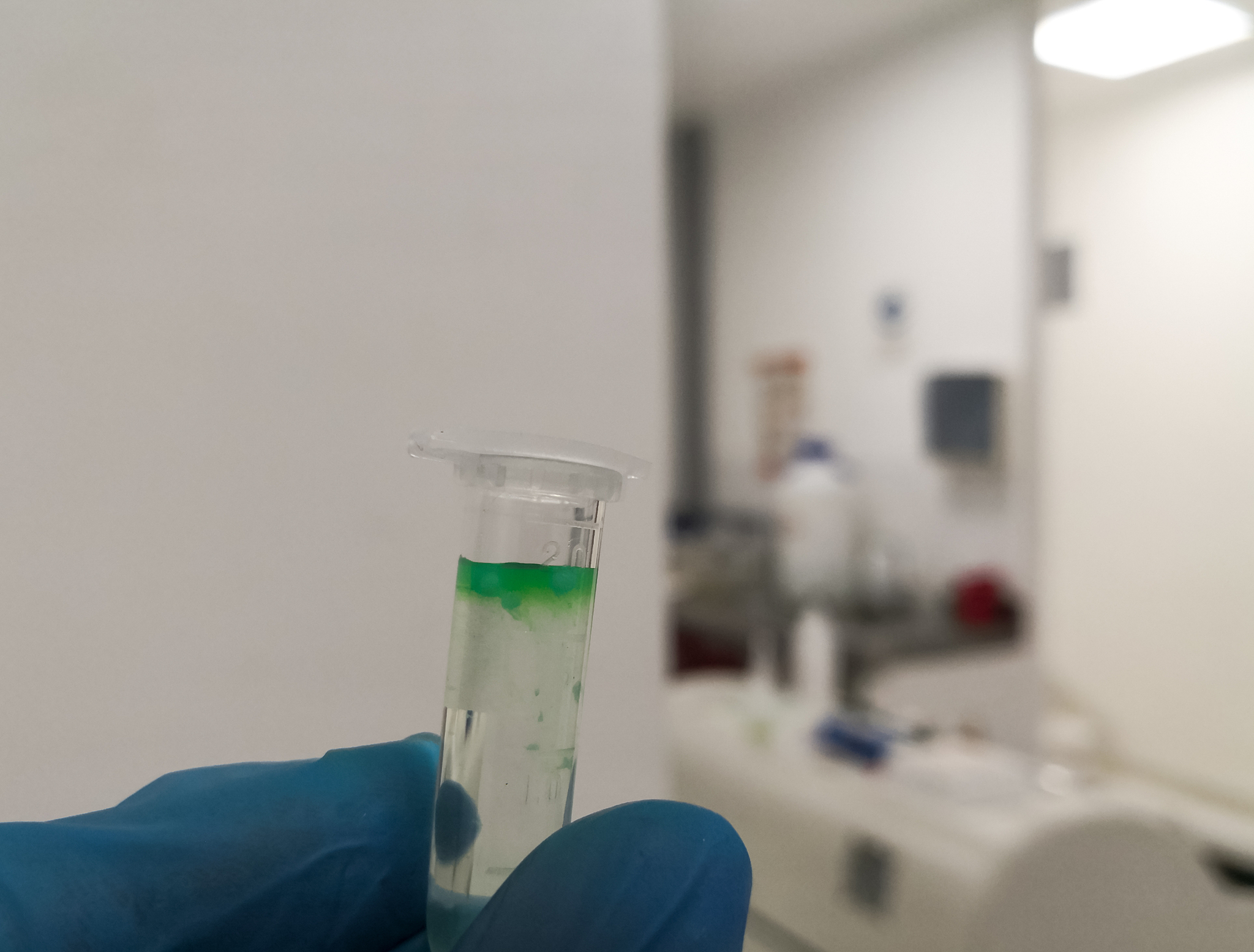 叶绿素的分离与鉴定实验注意事项
