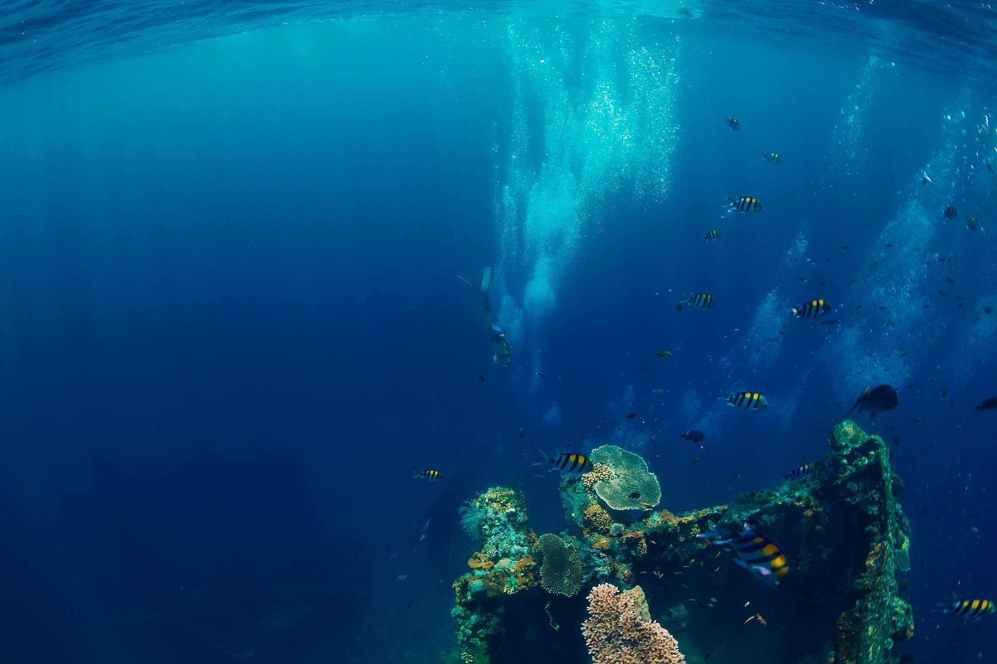 freediver man dive underwater at shipwreck in bali. freediving i