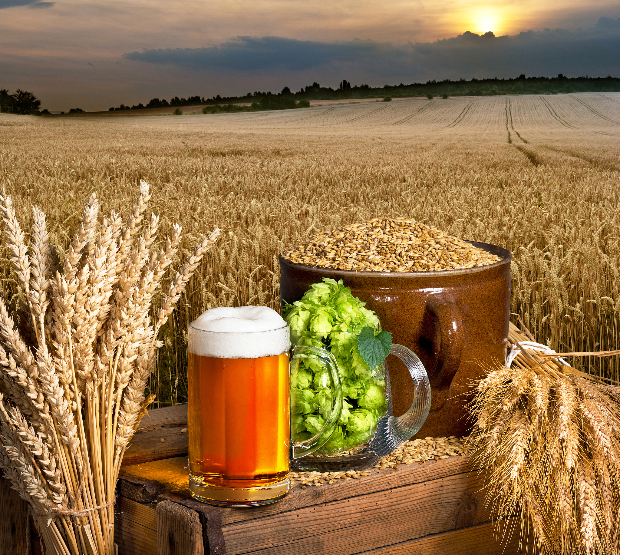 提升啤酒醇厚感的研发项目：核心技术与创新点