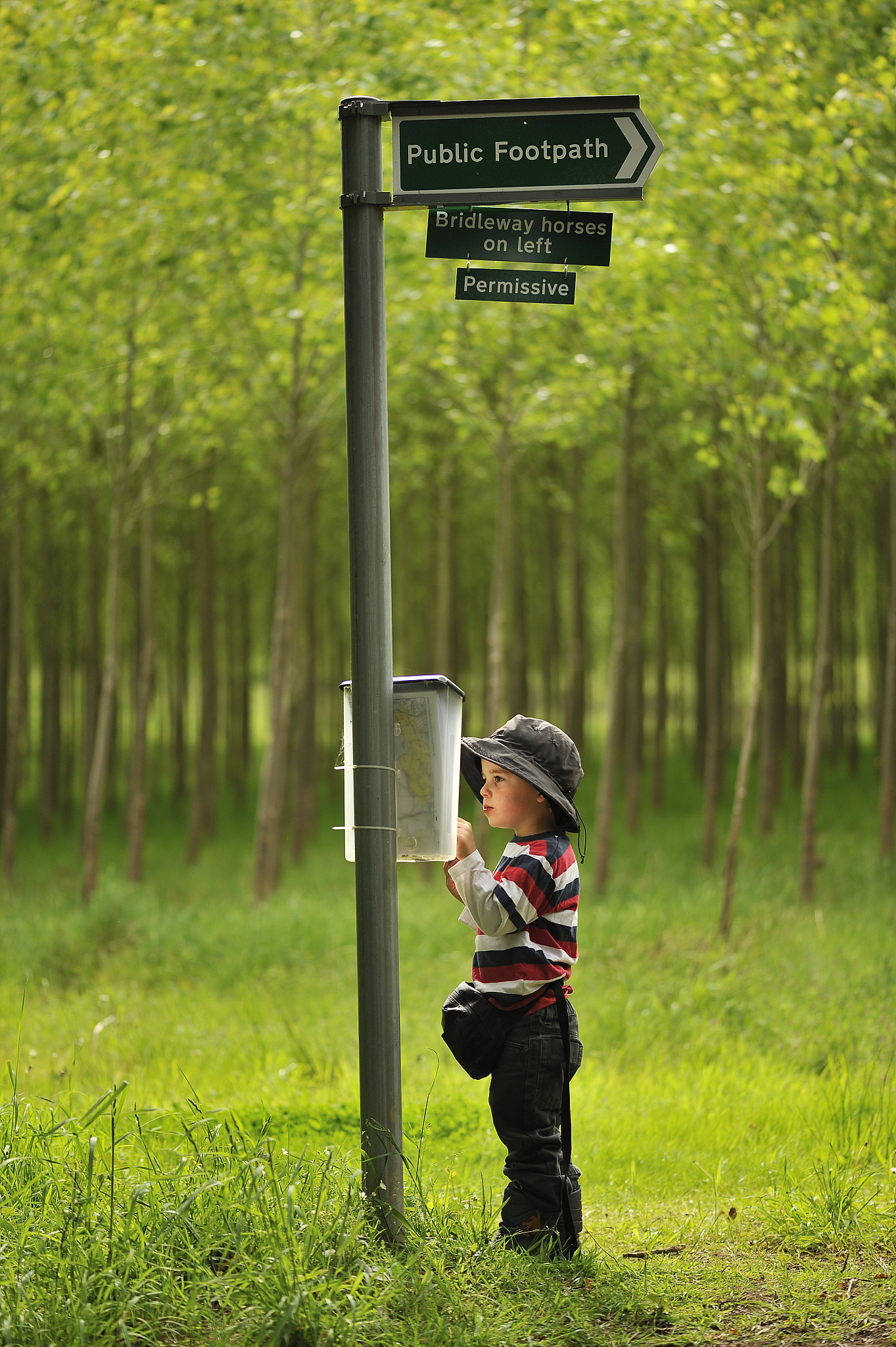 checking map