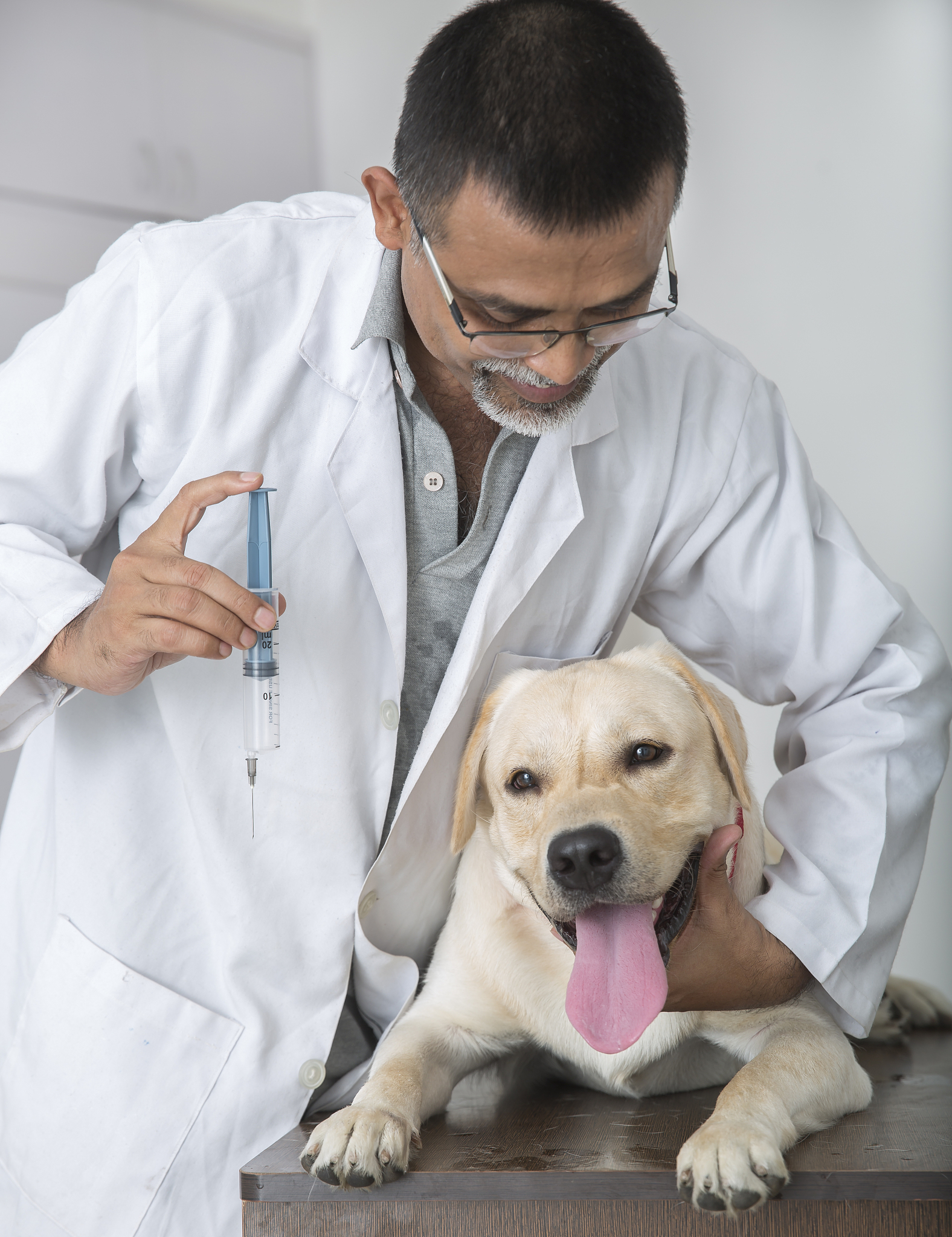 动物医学专业就业前景与就业方向「2019更新」