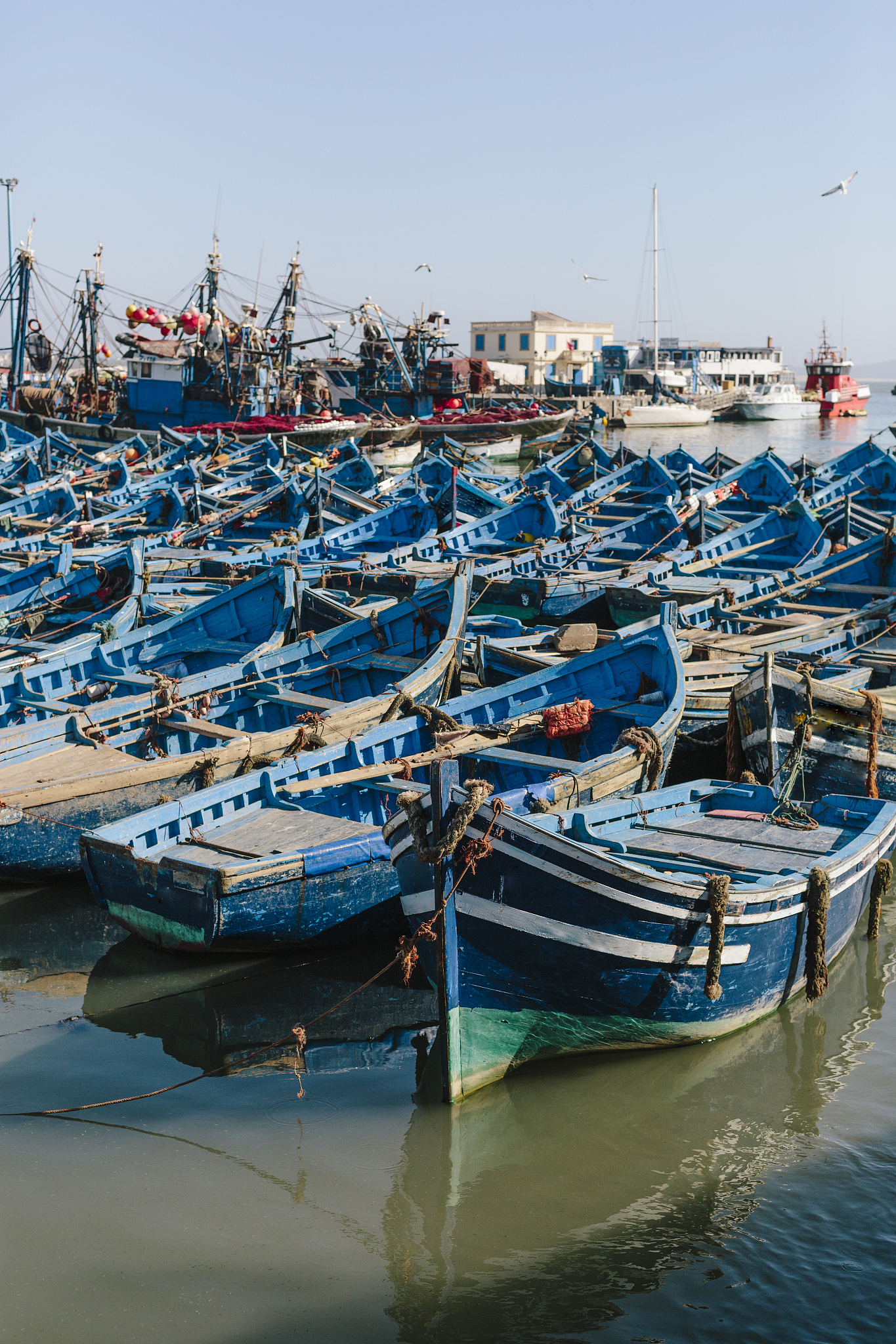 blue fishing boats in essaouira harbour