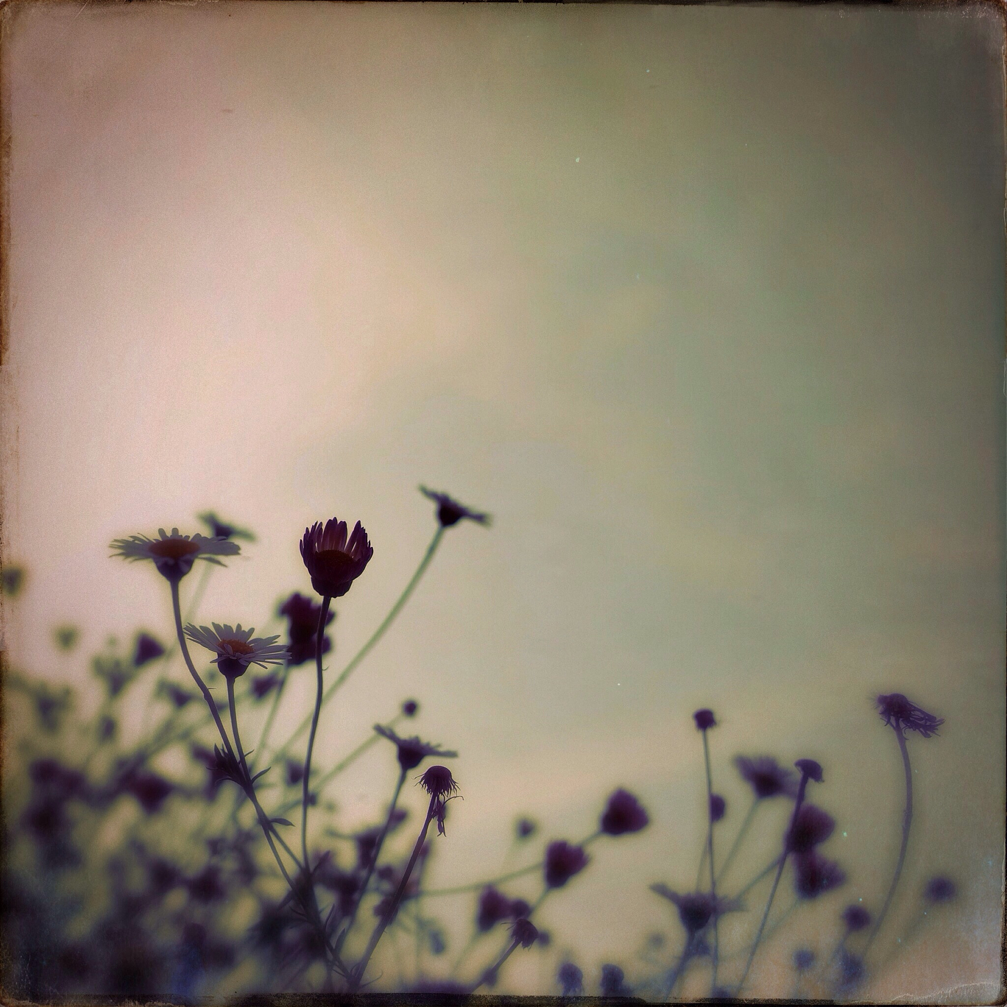 既惶恐又兴奋：用文艺句子表达复杂心情