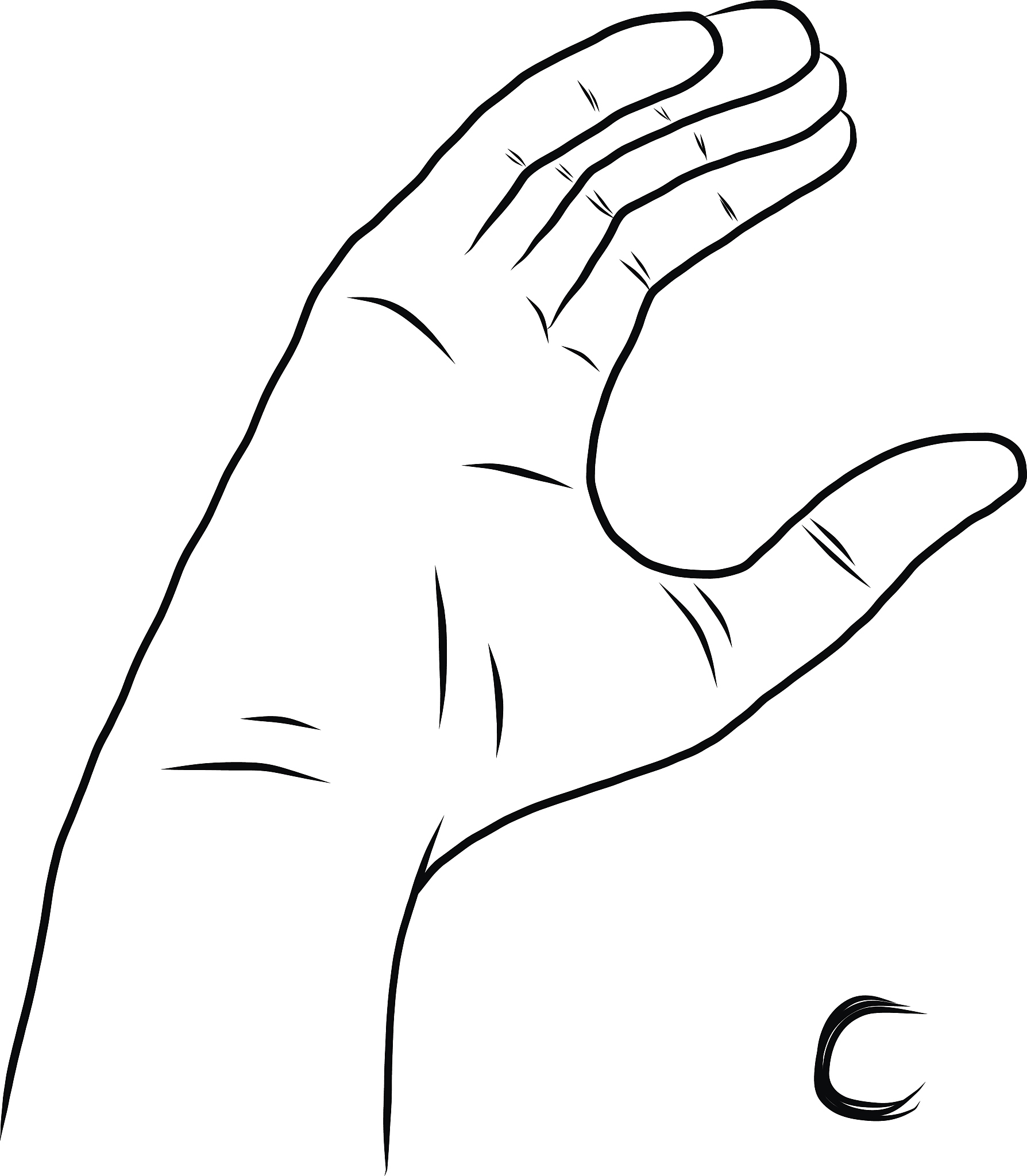 基于对比视觉-文本转换和变分对齐的手语识别