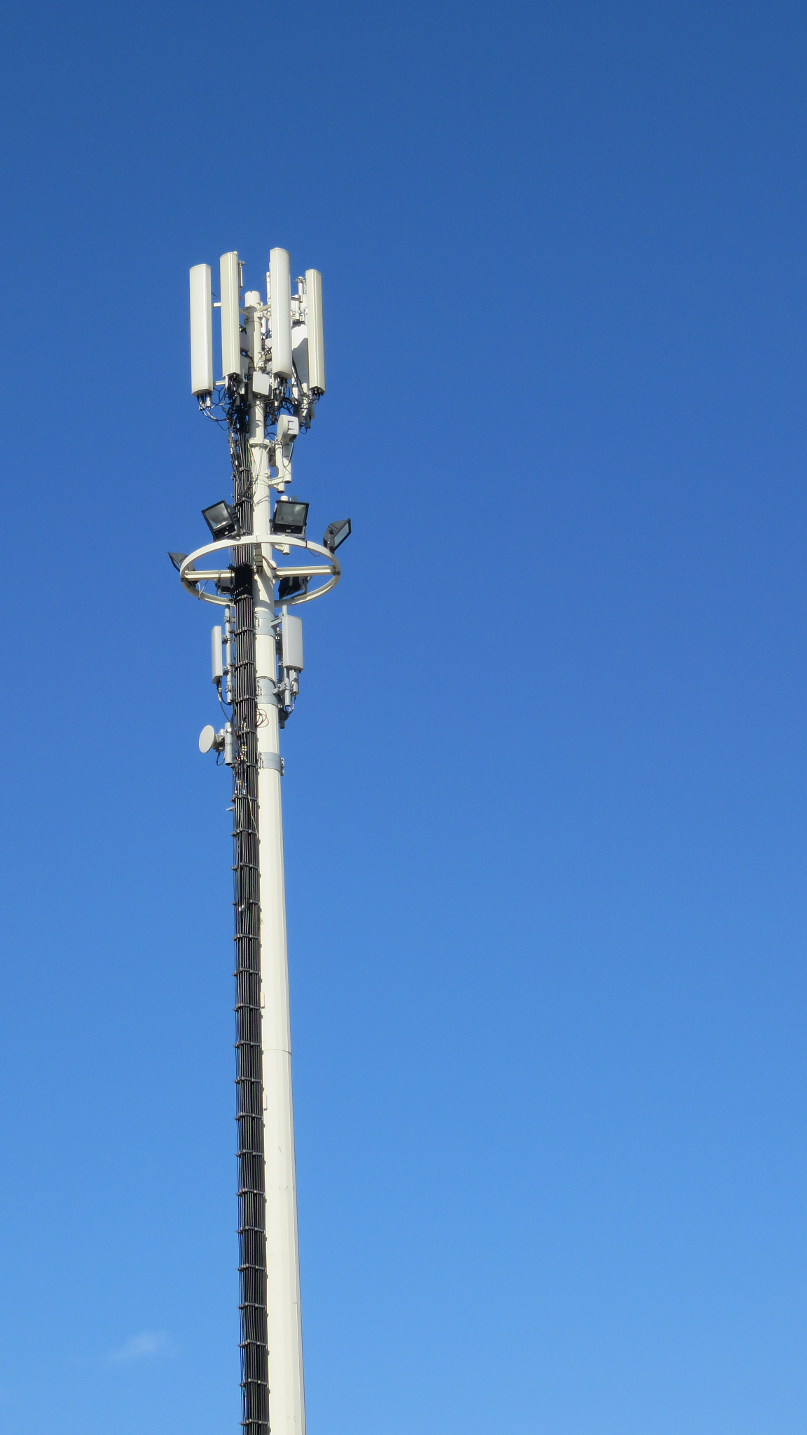 antenna in the city mobile