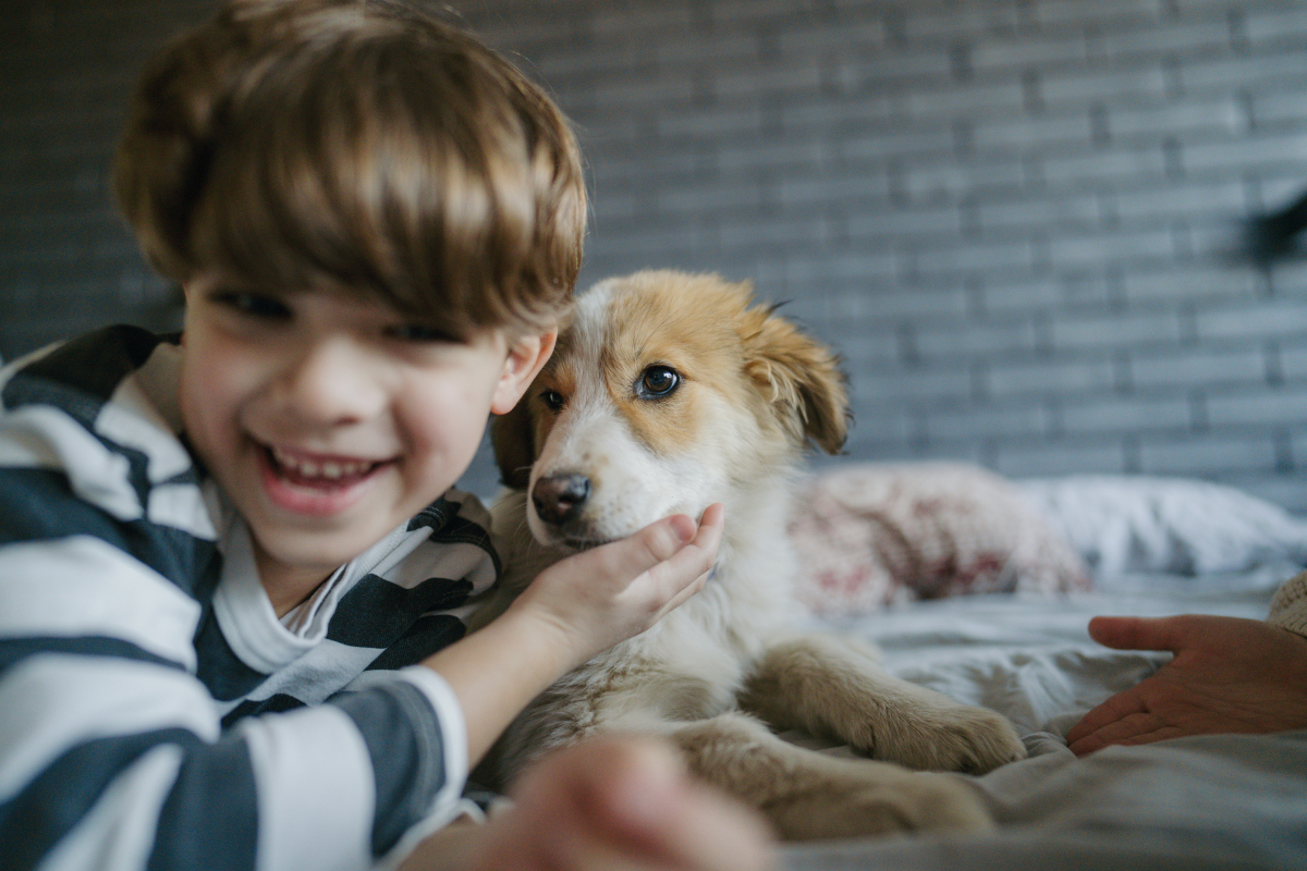 🐶六个月狗狗还能窜一窜？🤫专家教你长高秘诀！