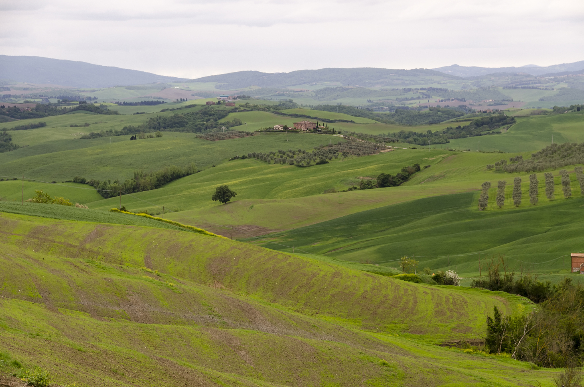 landscape of tuscany