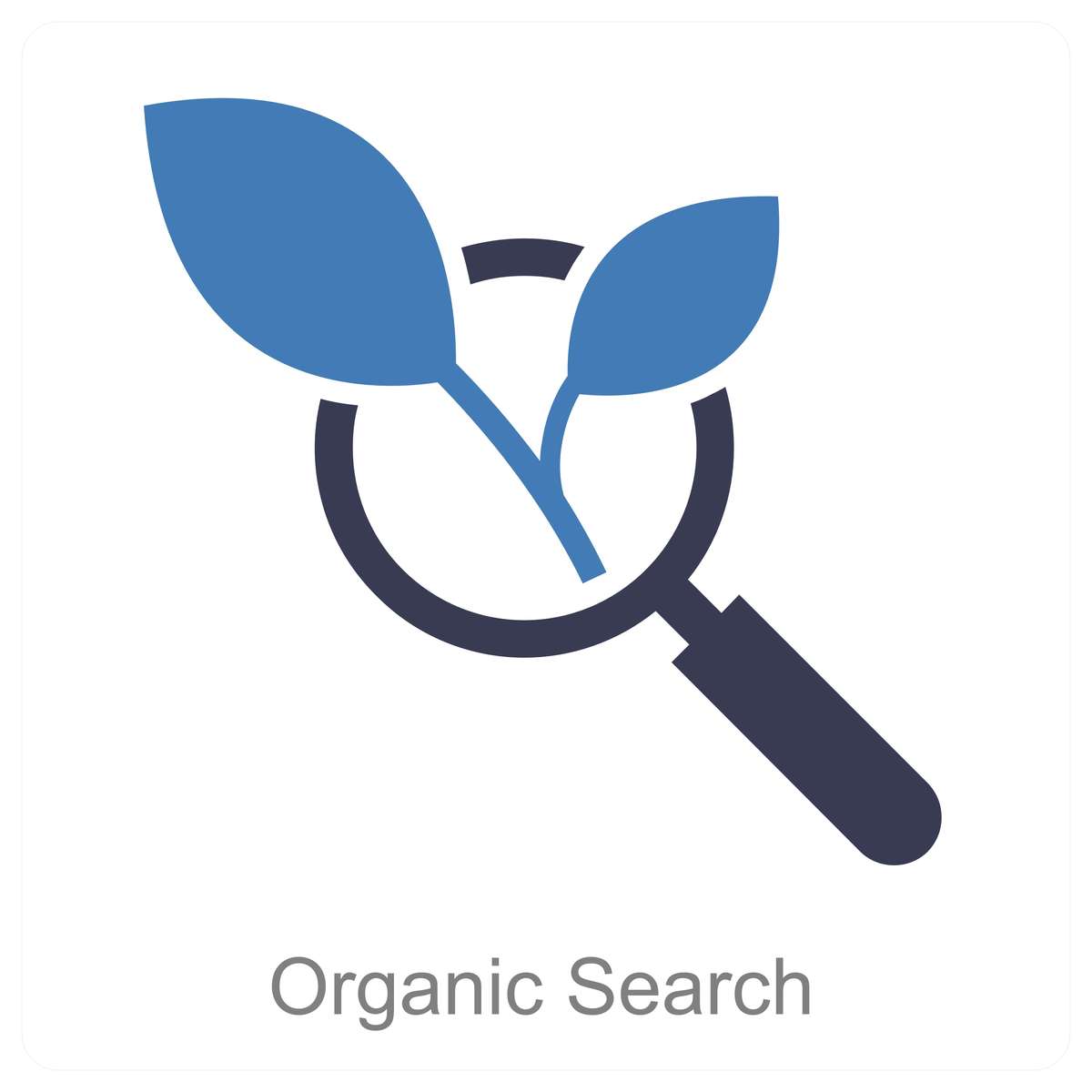 图片搜索：快速找到您想要的图像