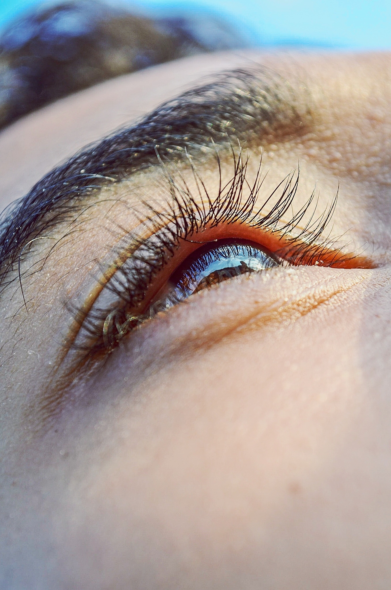 cropped image of human eye