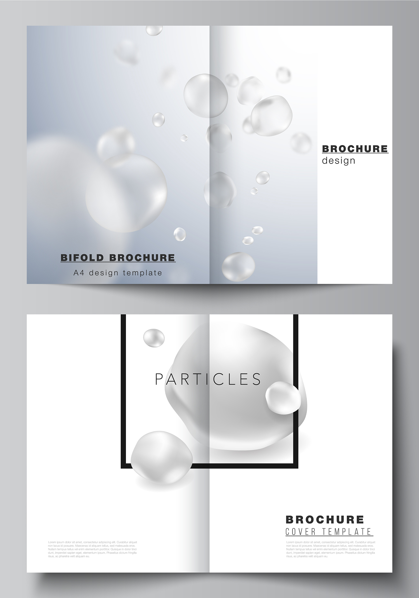 layout of two a4 format cover mockups