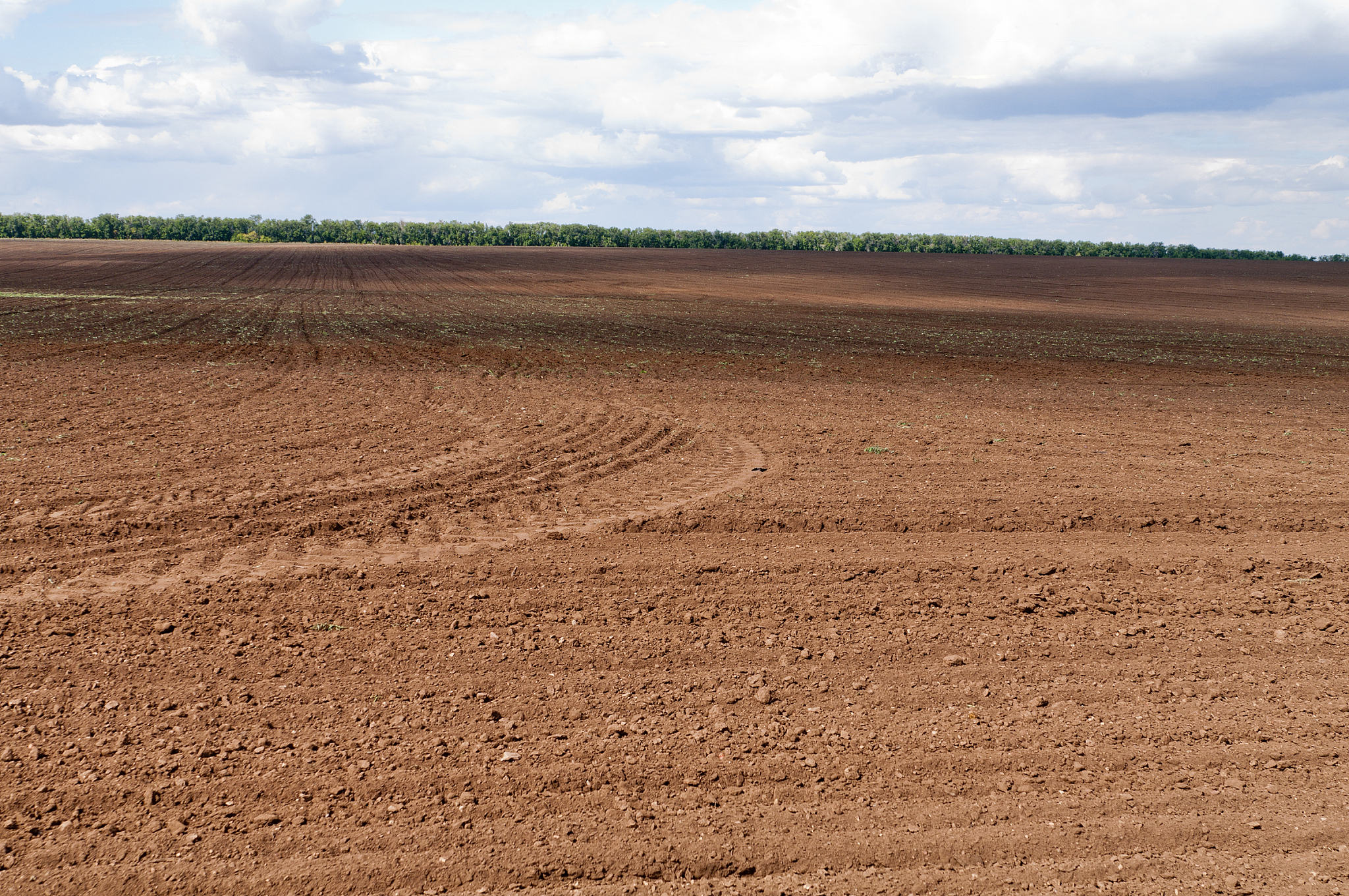 plowed field