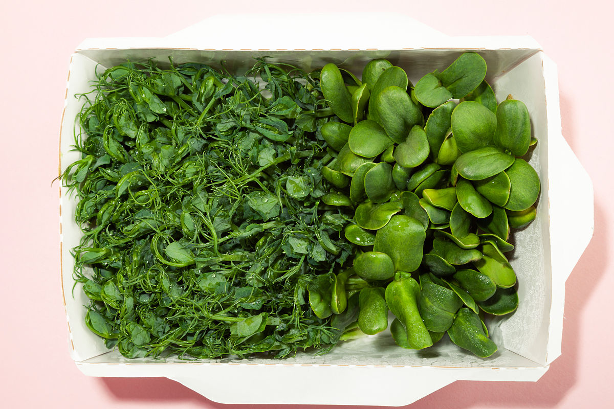 消费者更青睐可降解包装材料：调查显示54.63%偏好