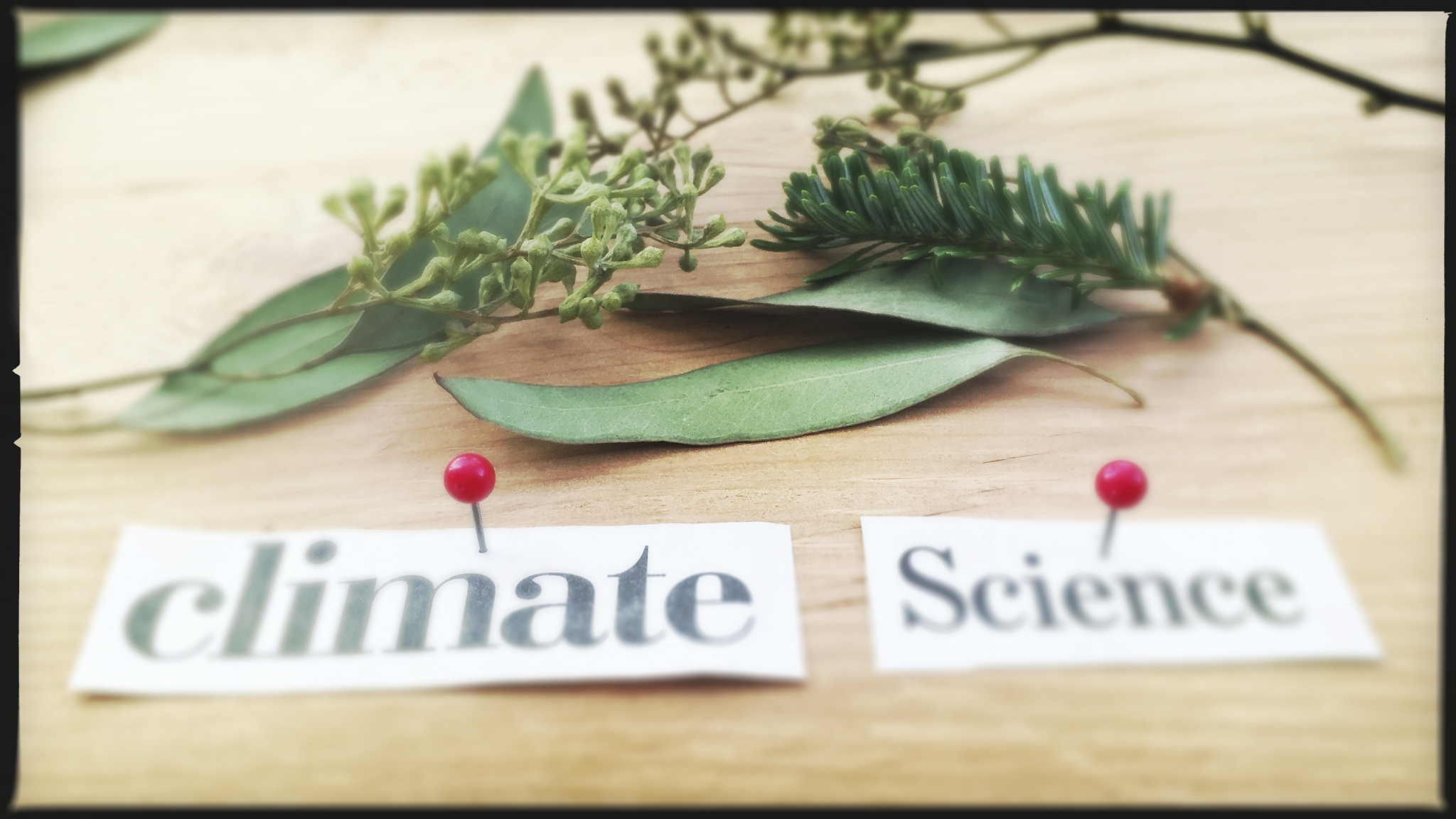 climate science concept on wood