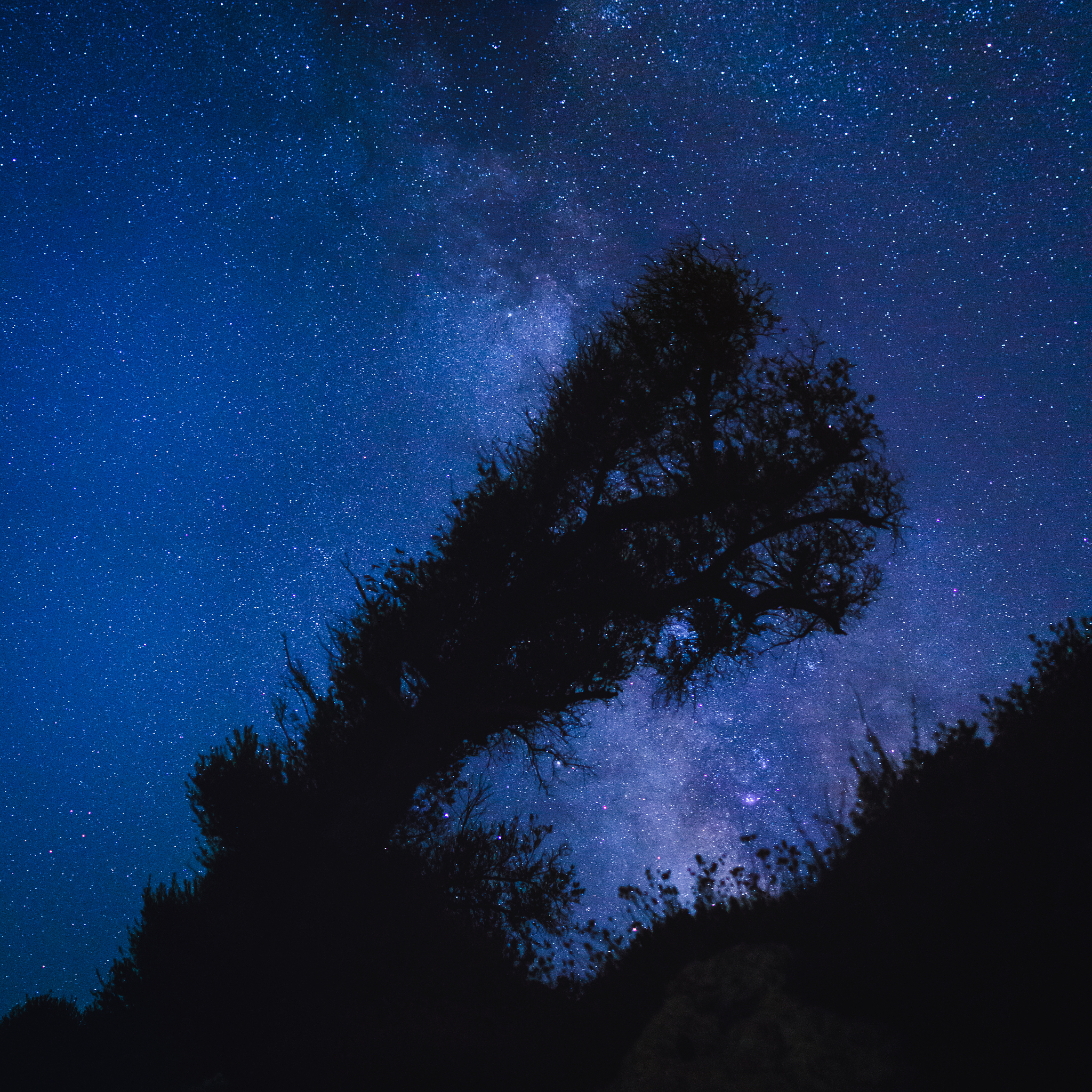 夏夜的美好：繁星、微风、生命