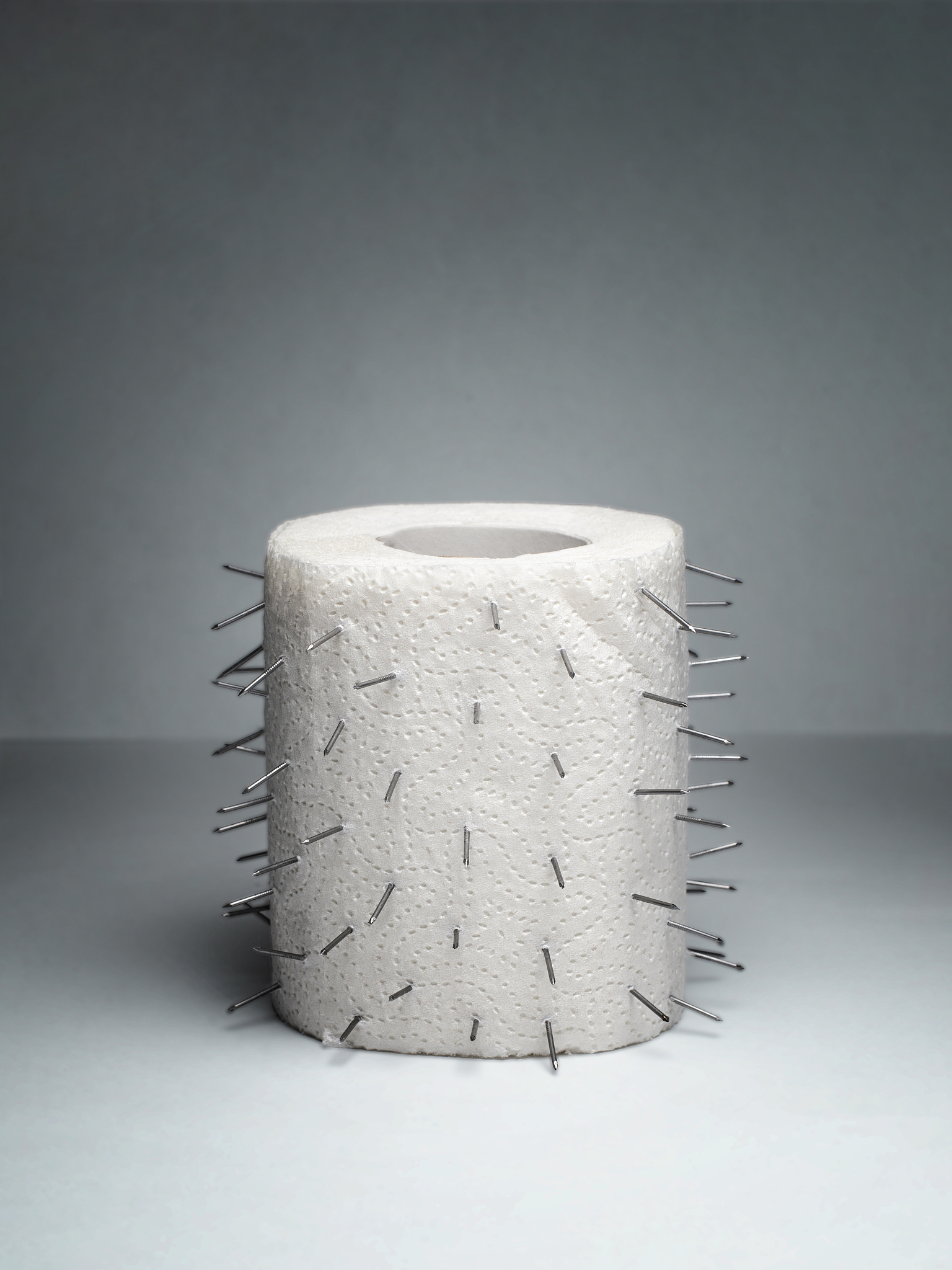 a roll of toilet paper with thorns. unusual joke. treatment of h