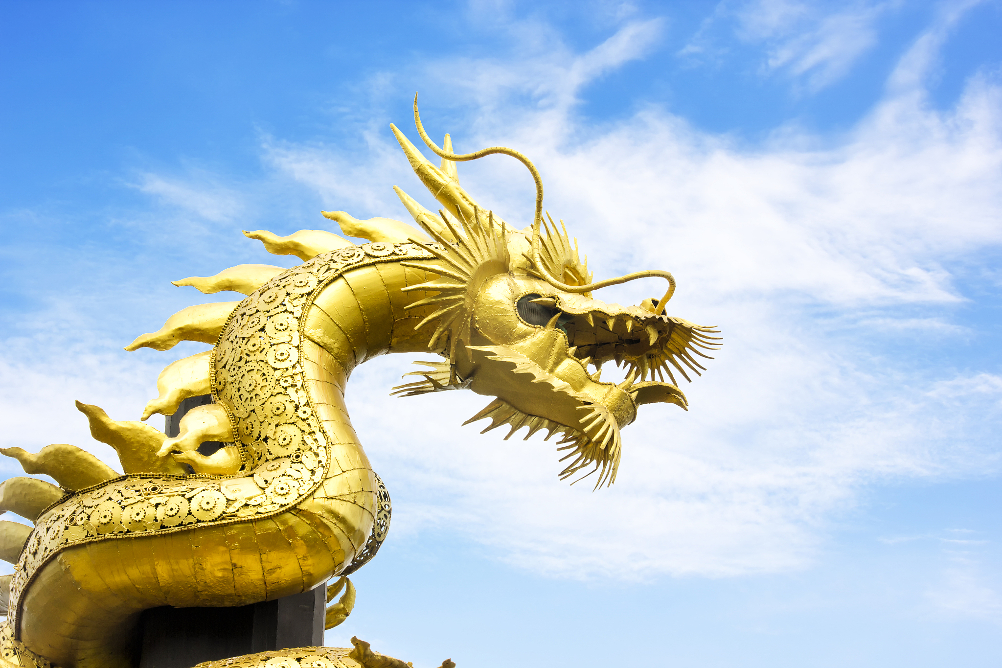 dragon