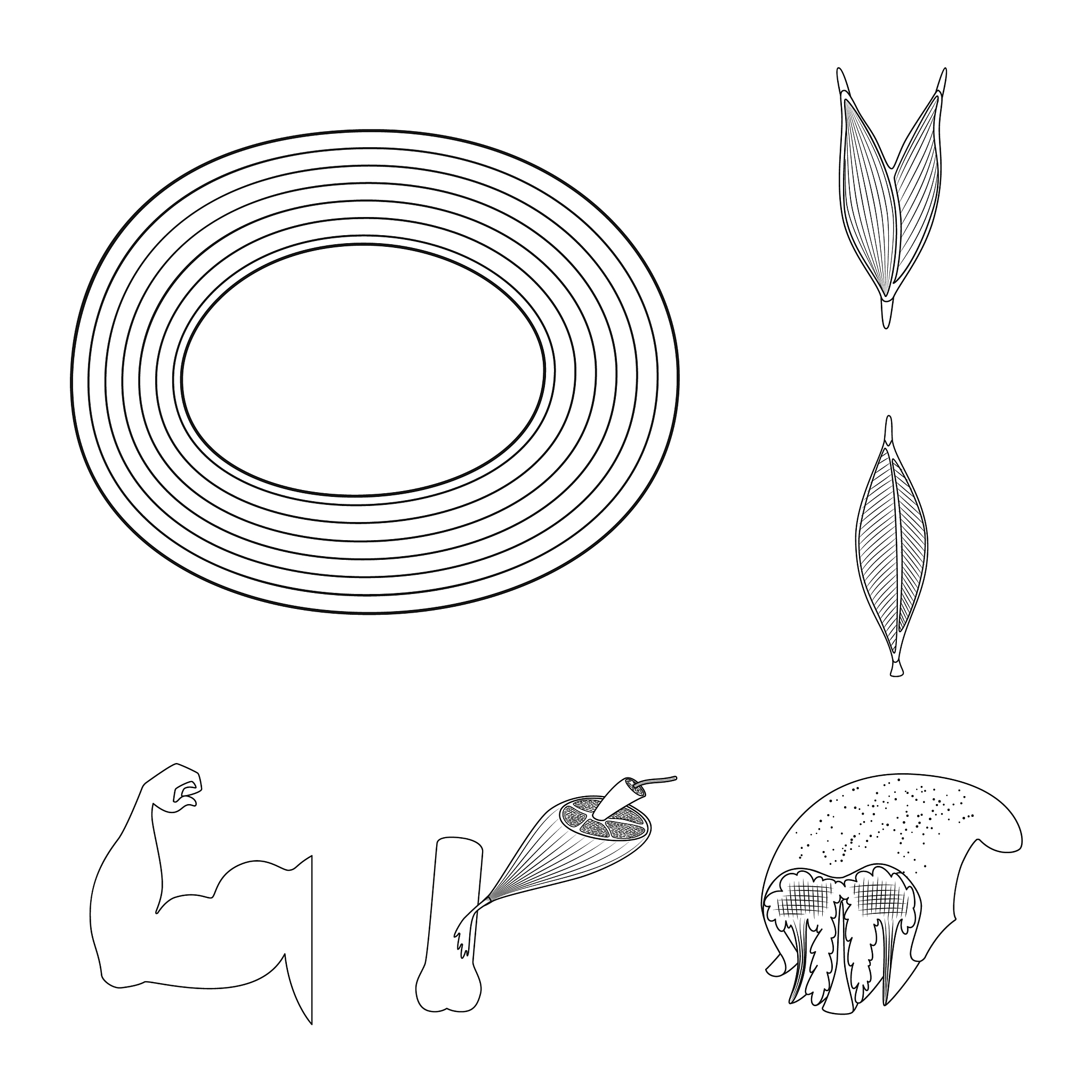 用左右相机分别进行单目标定得到的径向畸变和内参然后再用双目标定得到的旋转矩阵和平移矩阵的值进行双目矫正会对矫正结果有很大影响吗？其中单独进行的单目标定的像素误差比双目标定的像素误差小