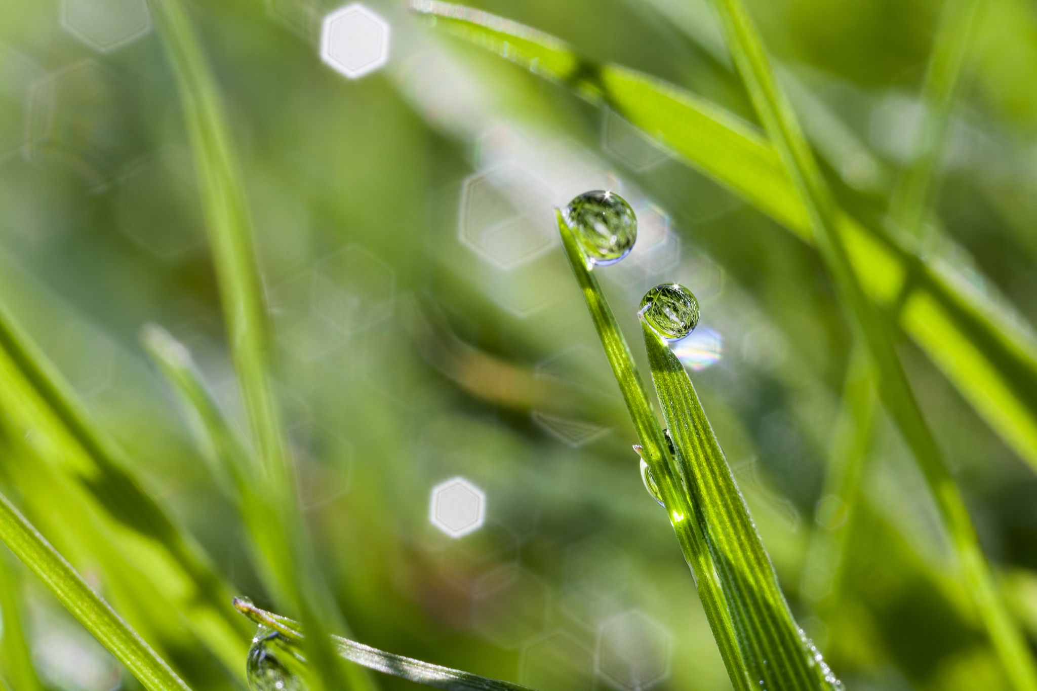 雨水是如何形成的？详细解释雨水形成过程